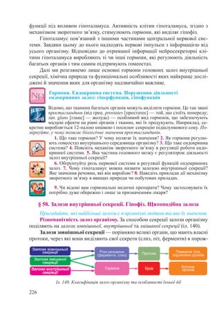 226
функції під впливом гіпоталамуса. Активність клітин гіпоталамуса, згідно з
механізмом зворотного зв’язку, стимулюють гормони, які виділяє гіпофіз.
Гіпоталамус пов’язаний з іншими частинами центральної нервової сис-
теми. Завдяки цьому до нього надходять нервові імпульси з інформацією від
усього організму. Відповідно до отриманої інформації нейросекреторні клі-
тини гіпоталамуса виробляють ті чи інші гормони, які регулюють діяльність
багатьох органів і тим самим підтримують гомеостаз.
Далі ми розглянемо лише основні гормони головних залоз внутрішньої
секреції, хімічна природа та функціональні особливості яких найкраще дослі-
джені й значення яких для організму надзвичайно важливе.
Гормони. Ендокринна система. Порушення діяльності
ендокринних залоз: гіперфункція, гіпофункція
Відомо, що тканини багатьох органів можуть виділяти гормони. Це так звані
простагландини (від грец. prostates [простатeс] — той, що стоїть попереду;
лат. glans [гланс] — жолудь) — особливий вид гормонів, що забезпечують
місцеві ефекти на рівні органів і тканин, які їх продукують. Наприклад, се-
кретин виробляється 12-палою кишкою і посилює секрецію підшлункового соку. По-
міркуйте, у чому полягає біологічне значення простагландинів.
1. Що таке гормони? У чому полягає їх значення? 2. Як гормони регулю-
ють гомеостаз внутрішнього середовища організму? 3. Що таке ендокринна
система? 4. Поясніть механізм зворотного зв’язку в регуляції роботи ендо-
кринної системи. 5. Яка частина головного мозку є регулятором діяльності
залоз внутрішньої секреції?
6. Обґрунтуйте роль нервової системи в регуляції функцій ендокринних
залоз. 7. Чому гіпоталамус можна назвати залозою внутрішньої секреції?
Яке значення речовин, які він виробляє? 8. Наведіть приклади дії механізму
зворотного зв’язку в явищах природи чи побутових приладах.
9. Чи відомі вам гормональні медичні препарати? Чому застосовувати їх
потрібно дуже обережно і лише за призначенням лікаря?
§ 58. Залози внутрішньої секреції. Гіпофіз. Щитоподібна залоза
Пригадайте, які найбільші залози є в організмі людини та яке їх значення.
Різноманітність залоз організму. За способом секреції залози організму
поділяють на залози зовнішньої, внутрішньої та змішаної секреції (іл. 140).
Залози зовнішньої секреції — порівняно великі органи, що мають власні
протоки, через які вони виділяють свої секрети (слиз, піт, ферменти) в порож-
Іл. 140. Класифікація залоз організму та особливості їхньої дії
 