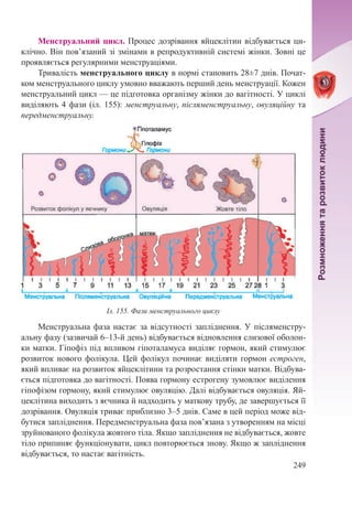 249
Менструальний цикл. Процес дозрівання яйцеклітин відбувається ци-
клічно. Він пов’язаний зі змінами в репродуктивній системі жінки. Зовні це
проявляється регулярними менструаціями.
Тривалість менструального циклу в нормі становить 28±7 днів. Почат-
ком менструального циклу умовно вважають перший день менструації. Кожен
менструальний цикл — це підготовка організму жінки до вагітності. У циклі
виділяють 4 фази (іл. 155): менструальну, післяменструальну, овуляційну та
передменструальну.
Менструальна фаза настає за відсутності запліднення. У післяменстру-
альну фазу (зазвичай 6–13-й день) відбувається відновлення слизової оболон-
ки матки. Гіпофіз під впливом гіпоталамуса виділяє гормон, який стимулює
розвиток нового фолікула. Цей фолікул починає виділяти гормон естроген,
який впливає на розвиток яйцеклітини та розростання стінки матки. Відбува-
ється підготовка до вагітності. Поява гормону естрогену зумовлює виділення
гіпофізом гормону, який стимулює овуляцію. Далі відбувається овуляція. Яй-
цеклітина виходить з яєчника й надходить у маткову трубу, де завершується її
дозрівання. Овуляція триває приблизно 3–5 днів. Саме в цей період може від-
бутися запліднення. Передменструальна фаза пов’язана з утворенням на місці
зруйнованого фолікула жовтого тіла. Якщо запліднення не відбувається, жовте
тіло припиняє функціонувати, цикл повторюється знову. Якщо ж запліднення
відбувається, то настає вагітність.
Іл. 155. Фази менструального циклу
 