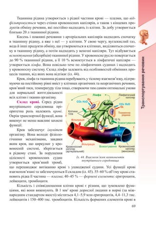 69
Тканинна рідина утворюється з рідкої частини крові — плазми, що від-
фільтровується через стінки кровоносних капілярів, а також з кінцевих про-
дуктів обміну речовин, які постійно надходять із клітин. За добу утворюється
близько 20 л тканинної рідини.
Кисень і поживні речовини з артеріальних капілярів надходять спочатку
в тканинну рідину, а вже з неї — у клітини. У свою чергу, вуглекислий газ,
вода й інші продукти обміну, що утворюються в клітинах, виділяються спочат-
ку в тканинну рідину, а потім надходять у венозні капіляри. Тут відбувається
всмоктування (абсорбція) тканинної рідини. У кровоносне русло повертається
до 90 % тканинної рідини, а її 10 % всмоктується в лімфатичні капіляри —
утворюється лімфа. Вона повільно тече по лімфатичних судинах і надходить
у кровоносну систему. Склад лімфи залежить від особливостей обмінних про-
цесів тканин, від яких вона відтікає (іл. 44).
Кров, лімфа та тканинна рі­дина перебувають у тісному взає­мозв’язку, підтри-
муючи на пос­тійному рівні вміст у клітинах органічних та неорганічних речовин,
кров’яний тиск, температуру тіла тощо, створюючи тим самим оптимальні умови
для нормальної життєдіяльності
всіх клітин і тканин організму.
Склад крові. Серед рідин
внутрішнього середовища прі-
оритетна роль належить крові.
Окрім транспортної функції, вона
виконує не менш важливі захисні
функції.
Кров забезпечує імунітет
організму. Вона володіє фізіоло-
гічними механізмами, завдяки
яким кров, що циркулює у кро-
воносній системі, зберігається
в рідкому стані. За порушення
цілісності кровоносних судин
утворюється кров’яний тромб,
що перешкоджає витіканню крові з ушкодженої судини. Усі функції крові
взаємопов’язані та забезпечуються її складом (іл. 45). 55–60 % об’єму крові ста-
новить рідка її частина — плазма; 40–45 % — формені елементи: еритроцити,
лейкоцити, тромбоцити.
Кількість і співвідношення клітин крові є різним, що зумовлено функ-
ціями, які вони виконують. В 1 мм3
крові дорослої людини в нормі (за між-
народним стандартом якості) міститься 4,1–5,9 млн еритроцитів, 4,4–11,3 тис.
лейкоцитів і 150–400 тис. тромбоцитів. Кількість формених елементів крові в
Іл. 44. Взаємозв’язок компонентів
внутрішнього середовища
 
