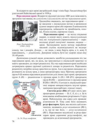 78
За відкриття груп крові австрійський лікар і хімік Карл Ландштейнер був
удостоєний Нобелівської премії в 1930 р.
Переливання крові. Відкриття групової системи АВ0 дало можливість
зрозуміти такі явища, як сумісність і несумісність під час переливання крові.
Традиційно вважають, що переливання крові —
це введення з лікувальною метою в кровоносні
судини хворого крові або окремих її компонентів
(еритроцитів, лейкоцитів чи тромбоцитів, плаз-
ми, білків плазми, сироватки тощо).
Переливання крові — це метод лікування
хворих, в основі якого лежить трансплантація
(від лат. transplantatio [трансплантатіо] — пере-
несення) рідкої сполучної тканини людини  —
крові. Застосування цього методу передбачає
високий ступінь відповідальності як медпер-
соналу, так і донорів. Донори — це люди, у яких беруть кров, а ті, кому її
переливають, — реципієнти. Донорами можуть бути всі здорові люди віку
18–60 років.
Досягнення сучасної науки дозволяють запобігти ускладненням під час
переливання крові, які, на жаль, ще трапляються в лікувальній практиці та
навіть призводять до смерті реципієнта. Під час переливання крові необхідно
дотримувати правил групової сумісності донора та реципієнта. Переливати
реципієнту потрібно цільну кров його ж групи. Але в екстрених випадках пе-
реливають не цільну кров, а лише еритроцитарну масу. Причому еритроцити
групи 0 (І) можна переливати реципієнтам усіх інших груп крові; еритроцити
групи А (ІІ) — реципієнтам із групами крові А (ІІ) і АВ (IV); еритроцити
групи В (ІІІ) — реципієнтам із групами крові
В (ІІІ) і АВ (IV). Сьогодні в лікувальній прак-
тиці широко використовують штучні крово-
замінники (реосорбілакт, гемодез тощо).
Система резус (Rh) об’єднує шість ери-
троцитарних речовин — D, C, E, d, c, e. За їх
можливими комбінаціями розрізняють 8 груп
крові. Найсильнішу дію серед усіх проявляє
аглютиноген D. Тому саме його називають
резус-фактором. Кров, яка містить цей аглю-
тиноген, називають резус-позитивною (Rh+
),
а ту, що не має його,  — резус-негативною
(Rh–
). Переливання несумісної за резус-фак-
тором крові спричиняє резус-конфлікт, що
призводить до аглютинації еритроцитів.Іл. 54. Резус-конфлікт
Карл Ландштейнер
(1868–1943)
 