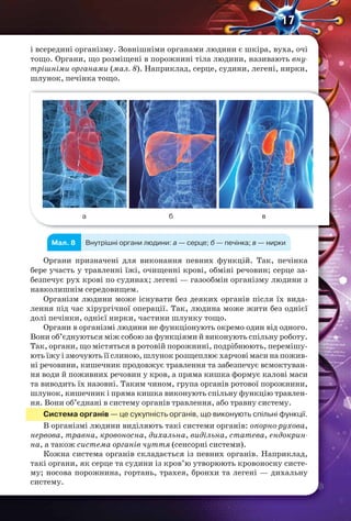 17
і всередині організму. Зовнішніми органами людини є шкіра, вуха, очі
тощо. Органи, що розміщені в порожнині тіла людини, називають вну-
трішніми органами (мал. 8). Наприклад, серце, судини, легені, нирки,
шлунок, печінка тощо.
а б в
Мал. 8 Внутрішні органи людини: а — серце; б — печінка; в — нирки
Органи призначені для виконання певних функцій. Так, печінка
бере участь у травленні їжі, очищенні крові, обміні речовин; серце за-
безпечує рух крові по судинах; легені — газообмін організму людини з
навколишнім середовищем.
Організм людини може існувати без деяких органів після їх вида-
лення під час хірургічної операції. Так, людина може жити без однієї
долі печінки, однієї нирки, частини шлунку тощо.
Органи в організмі людини не функціонують окремо один від одного.
Вони об’єднуються між собою за функціями й виконують спільну роботу.
Так, органи, що містяться в ротовій порожнині, подрібнюють, перемішу-
ють їжу і змочують її слиною, шлунок розщеплює харчові маси на пожив-
ні речовини, кишечник продовжує травлення та забезпечує всмоктуван-
ня води й поживних речовин у кров, а пряма кишка формує калові маси
та виводить їх назовні. Таким чином, група органів ротової порожнини,
шлунок, кишечник і пряма кишка виконують спільну функцію травлен-
ня. Вони об’єднані в систему органів травлення, або травну систему.
Система органів — це сукупність органів, що виконують спільні функції.
В організмі людини виділяють такі системи органів: опорно-рухова,
нервова, травна, кровоносна, дихальна, видільна, статева, ендокрин-
на, а також система органів чуття (сенсорні системи).
Кожна система органів складається із певних органів. Наприклад,
такі органи, як серце та судини із кров’ю утворюють кровоносну систе-
му; носова порожнина, гортань, трахея, бронхи та легені — дихальну
систему.
 