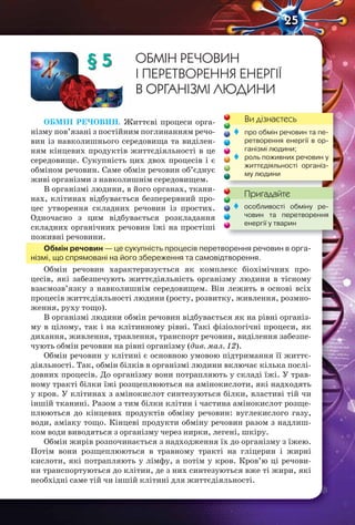25
§ 5 ОБМІН РЕЧОВИН
І ПЕРЕТВОРЕННЯ ЕНЕРГІЇ
В ОРГАНІЗМІ ЛЮДИНИ
ОБМІН РЕЧОВИН. Життєві процеси орга-
нізму пов’язані з постійним поглинанням речо-
вин із навколишнього середовища та виділен-
ням кінцевих продуктів життєдіяльності в це
середовище. Сукупність цих двох процесів і є
обміном речовин. Саме обмін речовин об’єднує
живі організми з навколишнім середовищем.
В організмі людини, в його органах, ткани-
нах, клітинах відбувається безперервний про-
цес утворення складних речовин із простих.
Одночасно з цим відбувається розкладання
складних органічних речовин їжі на простіші
поживні речовини.
Обмін речовин — це сукупність процесів перетворення речовин в орга-
нізмі, що спрямовані на його збереження та самовідтворення.
Обмін речовин характеризується як комплекс біохімічних про-
цесів, які забезпечують життєдіяльність організму людини в тісному
взаємозв’язку з навколишнім середовищем. Він лежить в основі всіх
процесів життєдіяльності людини (росту, розвитку, живлення, розмно-
ження, руху тощо).
В організмі людини обмін речовин відбувається як на рівні організ-
му в цілому, так і на клітинному рівні. Такі фізіологічні процеси, як
дихання, живлення, травлення, транспорт речовин, виділення забезпе-
чують обмін речовин на рівні організму (див. мал. 12).
Обмін речовин у клітині є основною умовою підтримання її життє-
діяльності. Так, обмін білків в організмі людини включає кілька послі-
довних процесів. До організму вони потрапляють у складі їжі. У трав-
ному тракті білки їжі розщеплюються на амінокислоти, які надходять
у кров. У клітинах з амінокислот синтезуються білки, властиві тій чи
іншій тканині. Разом з тим білки клітин і частина амінокислот розще-
плюються до кінцевих продуктів обміну речовин: вуглекислого газу,
води, аміаку тощо. Кінцеві продукти обміну речовин разом з надлиш-
ком води виводяться з організму через нирки, легені, шкіру.
Обмін жирів розпочинається з надходження їх до організму з їжею.
Потім вони розщеплюються в травному тракті на гліцерин і жирні
кислоти, які потрапляють у лімфу, а потім у кров. Кров’ю ці речови-
ни транспортуються до клітин, де з них синтезуються вже ті жири, які
необхідні саме тій чи іншій клітині для життєдіяльності.
Ви дізнаєтесь
Пригадайте
 про обмін речовин та пе-
ретворення енергії в ор-
ганізмі людини;
 роль поживних речовин у
життєдіяльності організ-
му людини
Пригадайте
 особливості обміну ре-
човин та перетворення
енергії у тварин
 