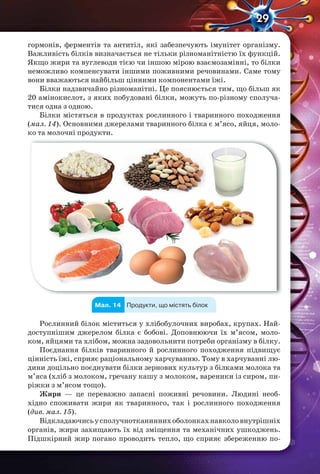 29
гормонів, ферментів та антитіл, які забезпечують імунітет організму.
Важливість білків визначається не тільки різноманітністю їх функцій.
Якщо жири та вуглеводи тією чи іншою мірою взаємозамінні, то білки
неможливо компенсувати іншими поживними речовинами. Саме тому
вони вважаються найбільш цінними компонентами їжі.
Білки надзвичайно різноманітні. Це пояснюється тим, що більш як
20 амінокислот, з яких побудовані білки, можуть по-різному сполуча-
тися одна з одною.
Білки містяться в продуктах рослинного і тваринного походження
(мал. 14). Основними джерелами тваринного білка є м’ясо, яйця, моло-
ко та молочні продукти.
Продукти, що містять білокМал. 14
Рослинний білок міститься у хлібобулочних виробах, крупах. Най-
доступнішим джерелом білка є бобові. Доповнюючи їх м’ясом, моло-
ком, яйцями та хлібом, можна задовольнити потреби організму в білку.
Поєднання білків тваринного й рослинного походження підвищує
цінність їжі, сприяє раціональному харчуванню. Тому в харчуванні лю-
дини доцільно поєднувати білки зернових культур з білками молока та
м’яса (хліб з молоком, гречану кашу з молоком, вареники із сиром, пи-
ріжки з м’ясом тощо).
Жири — це переважно запасні поживні речовини. Людині необ-
хідно споживати жири як тваринного, так і рослинного походження
(див. мал. 15).
Відкладаючисьусполучнотканиннихоболонкахнавколовнутрішніх
органів, жири захищають їх від зміщення та механічних ушкоджень.
Підшкірний жир погано проводить тепло, що сприяє збереженню по-
 