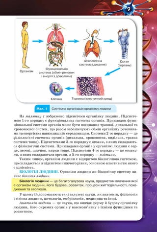 9
На малюнку 1 зображено підсистеми організму людини. Підсисте-
мою 1-го порядку є функціональна система органів. Прикладом функ-
ціональної системи органів може бути поєднання травної, дихальної та
кровоносної систем, що разом забезпечують обмін організму речовина-
ми та енергією з навколишнім середовищем. Системи 2-го порядку — це
фізіологічні системи органів (дихальна, кровоносна, видільна, травна
системи тощо). Підсистемами 3-го порядку є органи, з яких складають-
ся фізіологічні системи. Прикладами органів у організмі людини є сер-
це, легені, шлунок, нирки тощо. Підсистеми 4-го порядку — це ткани-
ни, з яких складаються органи, а 5-го порядку — клітини.
Таким чином, організм людини є відкритою біологічною системою,
що складається з підсистем нижчого рівня, основною властивістю якого
є цілісність.
БІОЛОГІЯ ЛЮДИНИ. Організм людини як біологічну систему ви-
вчає біологія людини.
Біологія людини — це багатогалузева наука, предметом вивчення якої
є організм людини, його будова, розвиток, процеси життєдіяльності, похо-
дження та еволюція.
У цьому їй допомагають такі галузеві науки, як анатомія, фізіологія
і гігієна людини, цитологія, ембріологія, медицина та інші.
Анатомія людини — це наука, що вивчає форму й будову організму
людини, його окремих органів у взаємозв’язку з їхніми функціями та
розвитком.
Організм
Клітина
Фізіологічна
система (дихання)
Орган
(гортань)
Тканина (елестичний хрящ)
Функціональна
система (обмін речовин
і енергії з довкіллям)
Мал. 1 Системна організація організму людини
 