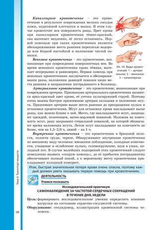 Тема4.Транспортвеществ
104
Капиллярное кровотечение – это крово­
течение в результате повреждения мелких сосудов
кожи, подкожной клетчатки и мышц. В этом слу-
чае кровоточит вся поверхность раны. Цвет крови
при капиллярном кровотечении тёмно-красный,
она вытекает медленно, её легко остановить. Пер-
вой помощью при таких кровотечениях является
обез­зараживание места ранения перекисью водоро-
да или йодной настойкой и наложение чистой по-
вязки.
Венозное кровотечение – это кровотечение, воз-
никающее при повреждении поверхностных вен. Во
время венозного кровотечения кровь тёмная, выте-
кает непрерывно и равномерно. Первая помощь при
венозных кровотечениях заключается в обеззаражи-
вании раны, наложении давящей повязки ниже ме-
ста ранения и направлении пострадавшего в больницу.
Артериальное кровотечение – это крово­течение, возникающее при
повреждении артерии. Признаками артериального кровотечения являют-
ся ярко-красный цвет крови, её утечка пульсирующей струей. Поэтому
очень важны быстрое прижимание артерии пальцами и наложение жгу-
та. Прижимают артерию выше места ранения до прекращения пульса и
остановки кровотечения. Жгут для остановки крови накладывают выше
раны, как можно ближе к ней. Место, где накладывается жгут, защища-
ют одеждой, полотенцем, ватно-марлевой повязкой. Наложив на конеч-
ность жгут, рану закрывают стерильной повязкой, на которой обознача-
ют время наложения жгута. Летом жгут накладывают на конечность не
более, чем на 1,5–2,0 ч, зимой – на 1 ч.
Внутренние кровотечения – это кровотечения в брюшной поло-
сти, полости груди, черепе. Обнаруживают внутренние кровотечения
по внешнему виду человека: внезапное побледнение, холодные конечно-
сти, учащение и ослабление пульса, головокружение, шум в ушах, хо-
лодный пот. В случае малейших подозрений этих кровотечений следует
немедленно вызвать «скорую помощь», до её прибытия пострадавшему
обеспечивают полный покой, а к вероятному месту кровотечения при-
кладывают холодный компресс.
Итак, быстрая значительная потеря крови очень опасна, поэтому каж­
дый должен уметь оказывать первую помощь при кровотечениях.
	 ДЕЯТЕЛЬНОСТЬ
	 Учимся познавать
Исследовательский практикум
САМОНАБЛЮДЕНИЕ ЗА ЧАСТОТОЙ СЕРДЕЧНЫХ СОКРАЩЕНИЙ
В ТЕЧЕНИЕ ДНЯ, НЕДЕЛИ
Цель:	формировать исследовательские умения определять влияние
нагрузки на состояние сердечно-сосудистой системы.
Оборудование: секундомер, иллюстрации кровеносной системы че-
ловека.
Ил. 54. Виды кровот­
ечений: 1 – артери­
альное; 2 – венозное;
3 – капиллярное
 