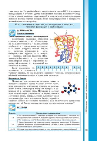 111
§24.Выделение–важныйэтапобменавеществ
тами энергии. На реабсорбацию затрачивается около 80 % кислорода,
попадающего к почкам. Далее извилистый каналец направляет жид-
кость к петле нефрона, переходящей в извилистый каналец второго
порядка. В этих отделах нефрона моча концентрируется и поступает в
мочесобирательную трубку.
Итак, основными процессами, происходящими в нефронах,
являются фильтрация и реабсорбция.
	 ДЕЯТЕЛЬНОСТЬ
	 Учимся познавать
Самостоятельная работа с иллюстрацией
Сопоставьте названия элементов
строения нефрона с их обозначения-
ми на иллюстрации: а – капиллярный
клубочек; в – приносящая артериола;
е – петля нефрона (петля Генле);
з – выносная артериола; и – моче-
собирательная трубка; н – венула;
о – капсула нефрона (капсула Шум-
лянского–Боумена); п – вторичная
капиллярная сеть; р – первичный из-
вилистый каналец; с – вторичный из-
вилистый каналец.
Если правильно со-
поставите и заполните
таблицу ответов, то вы получите название гормона, регулирующего
обратное всасывание воды в организме человека.
Биология + Химия
Мочевина, для организма человека имеет и
полезное значение. Когда человек потеет, часть
пота испаряется, а мочевина остается на поверх-
ности кожи, абсорбируя влагу из воздуха и со-
храняя её в роговом слое. Мочевина в составе
пота способствует улучшению и нормализации
состояния кожи, которая лучше выполняет свои
защитные функции, становится более упругой и
гладкой. Какие же свойства мочевины как химического соединения
определяют её биологическое значение для организма человека?
	РЕЗУЛЬТАТ
Оценка Вопросы для самоконтроля
1 – 6
1. Что такое выделение? 2. Назовите основные пути выделения. 3. Что такое мо­
чевыделительная система? 4. Назовите органы мочевыделительной системы.
5. Что такое нефроны? 6. Назовите основные механизмы мочеобразования.
7 – 9
7. Какое биологическое значение имеют процессы выделения? 8. Опишите
строение и функции мочевыделительной системы. 9. Как строение нефронов
взаимосвязано с их функциями?
10 – 12 10. Какую роль выполняют почки в осуществлении водно-солевого обмена?
1 2 3 4 5 6 7 8
С
9 10
1
2
3
5
4
6
10
8
9
7
 