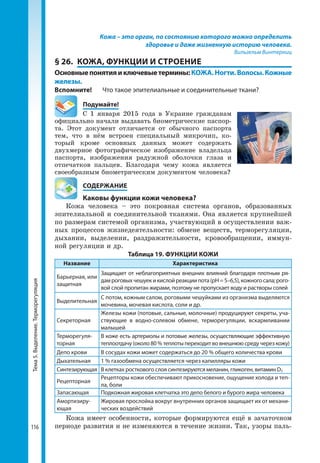 Тема5.Выделение.Терморегуляция
116
Кожа – это орган, по состоянию которого можно определить
здоровье и даже жизненную историю человека.
Вильгельм Винтерниц
§ 26.	 КОЖА, ФУНКЦИИ И СТРОЕНИЕ
Основныепонятияиключевыетермины:КОЖА.Ногти.Волосы.Кожные
железы.
Вспомните! 	 Что такое эпителиальные и соединительные ткани?
	Подумайте!
С 1 января 2015 года в Украине гражданам
официально начали выдавать биометрические паспор-
та. Этот документ отличается от обычного паспорта
тем, что в нём встроен специальный микрочип, ко-
торый кроме основных данных может содержать
двухмерное фотографическое изображение владельца
паспорта, изображения радужной оболочки глаза и
отпечатков пальцев. Благодаря чему кожа является
своеобразным биометрическим документом человека?
	 СОДЕРЖАНИЕ
	 Каковы функции кожи человека?
Кожа человека – это покровная система органов, образованных
эпителиальной и соединительной тканями. Она является крупнейшей
по размерам системой организма, участвующий в осуществлении важ-
ных процессов жизнедеятельности: обмене веществ, терморегуляции,
дыхании, выделении, раздражительности, кровообращении, иммун-
ной регуляции и др.
Таблица 19. ФУНКЦИИ КОЖИ
Название Характеристика
Барьерная, или
защитная
Защищает от неблагоприятных внешних влияний благодаря плотным ря­
дамроговыхчешуекикислойреакциипота(рН=5–6,5),кожногосала;рого­
вой слой пропитан жирами, поэтому не пропускает воду и растворы солей
Выделительная
С потом, кожным салом, роговыми чешуйками из организма выделяются
мочевина, мочевая кислота, соли и др.
Секреторная
Железы кожи (потовые, сальные, молочные) продуцируют секреты, уча­
ствующие в водно-солевом обмене, терморегуляции, вскармливании
малышей
Терморегуля­
торная
В коже есть артериолы и потовые железы, осуществляющие эффективную
теплоотдачу (около 80 % теплоты переходит во внешнюю среду через кожу)
Депо крови В сосудах кожи может содержаться до 20 % общего количества крови
Дыхательная 1 % газообмена осуществляется через капилляры кожи
Синтезирующая В клетках росткового слоя синтезируются меланин, гликоген, витамин D3
Рецепторная
Рецепторы кожи обеспечивают прикосновение, ощущение холода и теп­
ла, боли
Запасающая Подкожная жировая клетчатка это депо белого и бурого жира человека
Амортизиру­
ющая
Жировая прослойка вокруг внутренних органов защищает их от механи­
ческих воздействий
Кожа имеет особенности, которые формируются ещё в зачаточном
периоде развития и не изменяются в течение жизни. Так, узоры паль-
 