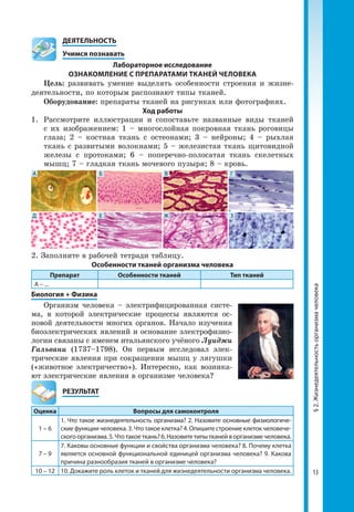13
§2.Жизнедеятельностьорганизмачеловека
	ДЕЯТЕЛЬНОСТЬ
	 Учимся познавать
Лабораторное исследование
ОЗНАКОМЛЕНИЕ С ПРЕПАРАТАМИ ТКАНЕЙ ЧЕЛОВЕКА
Цель: развивать умение выделять особенности строения и жизне­
деятельности, по которым распознают типы тканей.
Оборудование: препараты тканей на рисунках или фотографиях.
Ход работы
1.	 Рассмотрите иллюстрации и сопоставьте названные виды тканей
с их изображением: 1 – многослойная покровная ткань роговицы
глаза; 2 – костная ткань с остеонами; 3 – нейроны; 4 – рыхлая
ткань с развитыми волокнами; 5 – железистая ткань щитовидной
железы с протоками; 6 – поперечно-полосатая ткань скелетных
мышц; 7 – гладкая ткань мочевого пузыря; 8 – кровь.
А
Д
Б
Е
В
Ж
Г
З
2. Заполните в рабочей тетради таблицу.
Особенности тканей организма человека
Препарат Особенности тканей Тип тканей
А – ...
Биология + Физика
Организм человека – электрифицированная систе­
ма, в которой электрические процессы являются ос­
новой деятельности многих органов. Начало изучения
биоэлектрических явлений и основание электрофизио­
логии связаны с именем итальянского учёного Луиджи
Гальвани (1737–1798). Он первым исследовал элек­
трические явления при сокращении мышц у лягушки
(«животное электричество»). Интересно, как возника­
ют электрические явления в организме человека?
	РЕЗУЛЬТАТ
Оценка Вопросы для самоконтроля
1 – 6
1. Что такое жизнедеятельность организма? 2. Назовите основные физиологиче-
ские функции человека. 3. Что такое клетка? 4. Опишите строение клеток человече-
скогоорганизма.5.Чтотакоеткань?6.Назовитетипытканейворганизмечеловека.
7 – 9
7. Каковы основные функции и свойства организма человека? 8. Почему клетка
является основной функциональной единицей организма человека? 9. Какова
причина разнообразия тканей в организме человека?
10 – 12 10. Докажите роль клеток и тканей для жизнедеятельности организма человека.
 