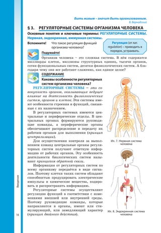 14
Введение Быть живым – значит быть организованным.
В. Вернадский
§ 3.	 РЕГУЛЯТОРНЫЕ СИСТЕМЫ ОРГАНИЗМА ЧЕЛОВЕКА
Основные понятия и ключевые термины: РЕГУЛЯТОРНЫЕ СИСТЕМЫ.
Нервная, эндокринная, иммунная системы.
Вспомните!	 Что такое регуляция функций 		
		организма человека?
	Подумайте!
Организм человека – это сложная система. В нём содержатся
миллиарды клеток, миллионы структурных единиц, тысячи органов,
сотни функциональных систем, десятки физиологических систем. А бла­
годаря чему они все работают слаженно, как единое целое?
	 СОДЕРЖАНИЕ
	 Каковы особенности регуляторных 	
	 систем организма человека?
РЕГУЛЯТОРНЫЕ СИСТЕМЫ – это со-
вокупность органов, оказывающих ведущее
влияние на деятельность физиологических
систем, органов и клеток. Эти системы име­
ют особенности строения и функций, связан­
ные с их назначением.
В регуляторных системах имеются цен­
тральные и периферические отделы. В цен­
тральных органах формируются руководя­
щие команды, а периферические органы
обеспечивают распределение и передачу их
рабочим органам для выполнения (принцип
централизации).
Для осуществления контроля за выпол­
нением команд центральные органы регуля­
торных систем получают ответную инфор­
мацию от рабочих органов. Эту особенность
деятельности биологических систем назы­
вают принципом обратной связи.
Информация от регуляторных систем по
всему организму передаётся в виде сигна­
лов. Поэтому клетки таких систем обладают
способностью продуцировать электрические
импульсы и химические вещества, кодиро­
вать и распространять информацию.
Регуляторные системы осуществляют
регуляцию функций в соответствии с изме­
нениями внешней или внутренней среды.
Поэтому руководящие команды, которые
направляются в органы, имеют или сти­
мулирующий, или замедляющий характер
(принцип двойного действия).
Регуляция (от лат.
regulation) – приводить в
порядок, устраивать.
Ил. 7. Нервная система
человека
Ил. 8. Эндокринная система
человека
 