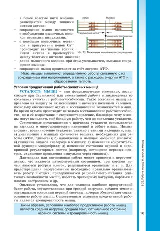 143
–	 в покое толстые нити миозина
размещаются между тонкими
нитями актина;
–	 сокращение мышц начинается
с возбуждения мышечных воло-
кон нервными импульсами;
–	 с помощью поперечных мости-
ков в присутствии ионов Са2+
происходит втягивание тонких
нитей актина в промежутки
между толстыми нитками миозина;
–	 длина мышечного волокна при этом уменьшается, вызывая сокра-
щение мышцы;
–	сокращение мышц происходит за счёт энергии АТФ.
Итак, мышцы выполняют определённую работу, связанную с их
сокращением или напряжением, а также с расходом энергии АТФ и
образованием теплоты.
Условия продуктивной работы скелетных мышц?
УСТАЛОСТЬ МЫШЦ – это физиологическое состояние, возни-
кающее при длительной или интенсивной работе и заключается во
временном снижении работоспособности. Такое состояние мышц на-
правлено на защиту от их истощения и является полезным явлением,
поскольку обеспечивает отдых и восстановление возможностей мышц.
Во время отдыха происходит не только восстановление работоспособно-
сти, но и её возрастание – сверхвосстановление, благодаря чему мыш-
цы могут выполнять ещё большую работу, чем до появления усталости.
Современные представления о причинах усталости основываются
на взглядах о многоуровневости изменений в работе мышц. Иными
словами, возникновение усталости связано с такими явлениями, как:
а) уменьшение в мышцах количества веществ, необходимых для ра-
боты (АТФ, гликоген); б) накопление в мышцах молочной кислоты;
в) снижение запасов кислорода в мышцах; г) изменения сократитель-
ной функции миофибрилл; д) изменение состояния нервной и эндо-
кринной регуляторных систем (например, истощение нервных цен-
тров, ухудшение проведения импульсов через синапсы).
Длительная или интенсивная работа может привести к переутом-
лению, что является патологическим состоянием, при котором ис-
черпываются ресурсы клеток, разрушаются органеллы и т. п. Для
предотвраще­ния переутомления необходимо правильно организовы-
вать работу и отдых, придерживаться рационального питания, учи-
тывать возможности мышц, избегать чрезмерных нагрузок, бороться с
плохим настроением и др.
Опытами установлено, что для человека наиболее продуктивной
будет работа, осуществляемая при средней нагрузке, среднем темпе и
оптимальном состоянии нервной системы, которая обеспечивает согла-
сованную работу мышц. Существенным условием продуктивной рабо-
ты является тренированность мышц.
Таким образом, условиями наиболее продуктивной работы мышц
является средняя нагрузка, средний темп, оптимальное состояние
нервной системы и тренированность мышц.
Ил. 73. Механизм мышечного сокращения
Актин Миозин
Скольжения нитей
Мышечное сокращение
§32.Работамышц.Усталостьмышц
 