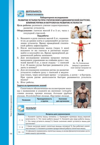 144
Тема6.Опораидвижение 	 ДЕЯТЕЛЬНОСТЬ
	 Учимся познавать
Лабораторное исследование
РАЗВИТИЕ УСТАЛОСТИ ПРИ СТАТИЧЕСКОЙ И ДИНАМИЧЕСКОЙ НАГРУЗКЕ.
ВЛИЯНИЕ РИТМА И НАГРУЗКИ НА РАЗВИТИЕ УСТАЛОСТИ
Цель работы: развивать умение характеризовать
развитие усталости.
Оборудование: гантели массой 3 и 5 кг, часы с
секундной стрелкой.
Ход работы
1. 	Возьмите в руки гантели массой 3 кг, подними-
те их до уровня плеча и удерживайте до наступ­
ления усталости. Время проведённой статиче-
ской работы зафиксируйте.
2. 	После восстановления мышц (через 5 мин)
возьмите те же гантели и ритмично подни-
майте и опускайте их. Время проведённой ди-
намической работы запишите.
3. 	Для исследования влияния нагрузки сначала
выполняете упражнение на сгибание руки с ган-
телей массой 3 кг, а после отдыха – с гантелей
5 кг. В каком случае быстрее развивается уста-
лость и почему?
4. 	Для исследования влияния ритма на развитие
усталости сгибаете руку с гантелей в медлен-
ном темпе, через некоторое время – в среднем, а затем – в быстром.
При каком ритме деятельности быстрее развивается усталость
мышц?
5.	 Итог работы.
Задача на применение знаний
Сопоставьте обозначенные на иллюстрации мыш-
цы с названиями и укажите их значение: четырёх-
главая мышца, прямая мышца, большая грудная
мышца, дельтовидная мышца, двуглавая мышца.
Название
Принадлежность
к группе
Значение
для организма
	РЕЗУЛЬТАТ
Оценка Вопросы для самоконтроля
1 – 6
1. Назовите группы мышц человека. 2. Приведите примеры мышц верхней
конечности. 3. Что такое работа мышц? 4. Назовите два вида работы мышц.
5. Что такое усталость мышц? 6. Какое значение имеет усталость мышц для
организма?
7 – 9
7. Какое значение имеют скелетные мышцы человека? 8. Как работают скелет­
ные мышцы? 9. Назовите условия продуктивной работы скелетных мышц.
10 – 12
10. Докажите взаимосвязь скелетных мышц со всеми физиологическими систе­
мами нашего организма.
5
4
2
13
Ил. 74. Статические
(вверху) и динамиче­
ское (внизу) нагрузки на
мышцы
 