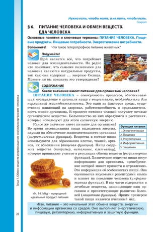 Тема1.Обменвеществипревращениеэнергииворганизмечеловека
28
Нужно есть, чтобы жить, а не жить, чтобы есть.
Сократ
§ 6. 	 ПИТАНИЕ ЧЕЛОВЕКА И ОБМЕН ВЕЩЕСТВ.
ЕДА ЧЕЛОВЕКА
Основные понятия и ключевые термины: ПИТАНИЕ ЧЕЛОВЕКА. Пище-
вые продукты. Пищевые потребности. Энергетические потребности.
Вспомните!	 Что такое гетеротрофное питание животных?
	Подумайте!
	 Едой является всё, что потребляет
человек для жизнедеятельности. Но редко
кто понимает, что самыми полезными для
человека являются натуральные продукты,
так как они содержат ... энергию Солнца.
Можете ли вы пояснить это утверждение?
	 СОДЕРЖАНИЕ
	 Какое значение имеет питание для организма человека?
ПИТАНИЕ ЧЕЛОВЕКА – совокупность процессов, обеспечиваю-
щих поступление в организм пищи с веществами, необходимыми для
нормальной жизнедеятельности. Это один из факторов среды, суще­
ственно влияющий на здоровье, работоспособность и продолжитель­
ность жизни организма. В процессе питания человек получает готовые
органические вещества. Большинство из них образуются в растениях,
которые используют для этого солнечную энергию.
Какое же значение имеет питание для организма?
Во время переваривания пищи выделяется энергия,
идущая на обеспечение жизнедеятельности организма
(энергетическая функция). Вещества в составе пищи
используются для образования клеток, тканей, орга­
нов, их обновления (пищевая функция). Пища содер­
жит вещества (например, витамины, клетчатку),
которые принимают участие в регуляции обмена веществ (регуляторная
функция). Химические вещества пищи несут
информацию для организма, пренебреже­
ние которой может привести к отравлению.
Это информация об особенностях пищи. Она
оценивается вкусовыми рецепторами языка
и влияет на поведение человека (информа-
тивная функция). В еде часто содержатся и
лечебные вещества, защищающие наш ор­
ганизм и препятствующие развитию болез­
ней (защитная функция). Ярким примером
такой пищи является пчелиный мёд.
Итак, питание – это начальный этап обмена веществ, энергии
и информации организма со средой. Оно выполняет энергетическую,
пищевую, регуляторную, информативную и защитную функции.
Функции питания
1. Энергетическая
2. Пищевая
3. Регуляторная
4. Информативная
5. Защитная
Ил. 14. Мёд – природный
идеальный продукт питания
 