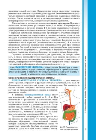 39
§8.Пищеварениечеловека.Обзорстроенияпищеварительнойсистемы
пищеварительной системы. Перемещение пищи происходит пищева­
рительным каналом из одного отдела в другой. Это своеобразный труб­
чатый конвейер, который приводит в движение мышечная оболочка
стенок. После усвоения пищи в пищеварительной системе остаются
непереваренные остатки, которые из организма удаляются.
Пищеварение у человека происходит внутри организма. В рамках
этого типа пищеварения различают несколько видов. Пищеварение у
новорождённых в течение первых 4–5 месяцев осуществляется благо­
даря ферментам материнского молока (автолитическое пищеварение).
У взрослых собственно пищеварение происходит с участием пищева­
рительных ферментов, выделяемых в пищеварительные полости рта,
желудка и кишечника (полостное пищеварение). В тонком кишечнике
пищеварение происходит очень быстро с помощью ферментов на по­
верхности клеток ворсинок (пристеночное пищеварение). А в толстом
кишечнике человека пищеварение осуществляется уже при участии
ферментов бактерий и одноклеточных животноподобных организмов
(симбионтное пищеварение). Способность к внутриклеточному пище­
варению сохранили только лейкоциты, которым присущ фагоцитоз.
Оценивая значение пищеварения для организма, не следует забы­
вать о таких неспецифических функциях, как защита организма от
чужеродных веществ и микроорганизмов, которые поступают вместе с
пищей, поддержание постоянства условий внутренней среды, восприя­
тие вкусовой информации об окружающей среде и т. п.
Итак, ПИЩЕВАРЕНИЕ ЧЕЛОВЕКА – совокупность физических и хими-
ческих процессов, осуществляющих перемещение и преобразование
сложных веществ в простые с последующим их всасыванием в кровь и
лимфу и удалением непереваренных остатков.
Каково строение пищеварительной системы?
ПИЩЕВАРИТЕЛЬНАЯ СИСТЕМА ЧЕЛОВЕКА – это совокуп-
ность органов, строение и функции которых приспособлены для эф-
фективного осуществления процессов пищеварения. Эта физиологи­
ческая система человека является сквозной и
состоит из пищеварительного канала и пищева­
рительных желёз.
У человека пищеварительный канал имеет
вид извилистой трубки длиной до 8–10 м. Его
назначение – физическая и химическая обра­
ботка пищи, всасывание питательных веществ,
перемещение пищи и удаление остатков. Начи­
нается канал полостью рта (1), за ней размеще­
ны глотка (2), пищевод (3), желудок (4), тонкий
кишечник (5), толстый кишечник (6) и завер­
шается анальным отверстием (7) (ил. 17).
Деятельность пищеварительного тракта тес­
но связана со строением его стенок. Внешняя
оболочка образована соединительной тканью,
которая защищает пищеварительный канал от
различных влияний. Средняя оболочка форми­
руется из двух или трёх слоёв гладких мышц.
Ил. 17. Пищеваритель-
ная система человека
1
2
3 4
5
6
7
 
