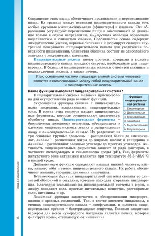 Тема2.Пищеварение
40
Сокращение этих мышц обеспечивает продвижение и перемешивание
пищи. На границе между отделами пищеварительного канала есть
особые круговые мышцы-сжиматели (сфинктеры) и клапаны. Эти об­
разования регулируют перемещение пищи и обеспечивают её движе­
ние только в одном направлении. Внутренняя оболочка образована
подслизистым и слизистым слоями. Подслизистая основа содержит
лимфатические узелки, нервные окончания и формирует складки вну­
тренней поверхности пищеварительного канала для увеличения по­
верхности пищеварения. Слизистая оболочка состоит из однослойного
эпителия с железистыми клетками.
Пищеварительные железы имеют протоки, которыми в полости
пищеварительного канала попадают секреты, необходимые для пище­
варения. К большим пищеварительным железам относятся слюнные и
поджелудочная железы, а также печень.
Итак, основными частями пищеварительной системы человека
являются взаимосвязанные между собой пищеварительный канал
и пищеварительные железы.
Какие функции выполняет пищеварительная система?
Пищеварительная система человека приспособле­
на для осуществления ряда важных функций.
Секреторная функция связана с пищеваритель­
ными железами, выделяющими пищеварительные
соки. В состав этих секретов входят пищеваритель­
ные ферменты, которые осуществляют химическую
обработку пищи. Пищеварительные ферменты –
биологически активные вещества, образующиеся в
клетках пищеварительных желез и расщепляющие
пищу в пищеварительном канале. Их разделяют на
три основные группы: протеазы – расщепляют белки до аминокис­
лот, липазы – расщепляют жиры до жирных кислот и глицерина и
амилазы – расщепляют сложные углеводы до простых углеводов. Ак­
тивность пищеварительных ферментов зависит от ряда факторов, в
частности температуры и кислотности среды (рН). Так, ферменты
желудочного сока активными являются при температуре 36,6–38,0 °С
в кислой среде.
Двигательную функцию определяют мышцы нижней челюсти, язы­
ка, мягкого нёба и стенок пищеварительного канала. Их работа обеспе­
чивает жевание, глотание, движения кишечника.
Всасывающая функция пищеварительной системы связана со сли­
зистой оболочкой и сосудами, которые подходят к органам пищеваре­
ния. Благодаря всасыванию из пищеварительной системы в кровь и
лимфу попадают вода, простые питательные вещества, растворимые
соли, витамины и др.
Защитная функция заключается в обез­вреживании микроорга­
низмов и вредных соединений. Так, в глотке имеются миндалины, в
стенках пищеварительного канала – лимфо­узелки, в полостях пище­
варительных органов – бактерицидные вещества. Главным защитным
барьером для всего чужеродного материала является печень, которая
фильтрует кровь, оттекающую от кишечника.
Функции
пищеваритель-
ной системы
1. Секреторная
2. Двигательная
3. Всасывающая
4. Защитная
5. Выделительная
6. Регуляторная
 