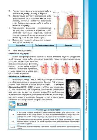 45
§9.Пищеварениевротовойполости
2. 	 Рассмотрите муляж или модель зуба и
найдите коронку, шейку и корень.
3. 	 Внимательно изучите поверхность зуба
и определите расположение эмали и це­
мента, которые являются покровами
зуба. Рассмотрите разрез зуба и найдите
дентин и пульпу.
4. 	Определите названия обозначенных
на рисунке элементов строения зуба:
костная альвеола, коронка, шейка,
корень, эмаль, дентин, цемент, перио-
донт, пульпа, канал корня зуба.
5. 	 Заполните таблицу: «Строение и функ­
ции зубов человека».
Вид зубов Особенности строения Функции
6. 	 Итог исследования.
Биология + Медицина
Самой распространённой болезнью зубов является кариес, разрушаю­
щий твёрдые ткани зуба с помощью бактерий. Развитие этого заболевания
ускоряет недостаток витами­
нов, солей кальция, фосфора,
фтора. Что же такое кариес?
Каковы основные причины,
стадии развития и меры про­
филактики кариеса?
Биология + Психология
Фотограф Артур Сасс в 1952 году загорелся желани­
ем сфотографировать выдающегося физика ХХ века, ла­
уреата Нобелевской премии по физике (1921) Альберта
Эйнштейна (1879–1955) в честь его 72-го дня рождения.
И, как положено, он попросил Эйнштейна улыбнуться
для камеры, на что тот показал язык. Это изображение
представляет портрет одновременно и гения, и жизнера­
достного живого человека. Докажите, что и язык имеет
значение для сохранения здоровья человека.
	РЕЗУЛЬТАТ
Оценка Вопросы для самоконтроля
1 – 6
1. Что такое ротовая полость? 2. Какое значение имеют зубы для процесса пи-
щеварения? 3. Что такое глотка? 4. Какое значение имеет глотка в процессе пи-
щеварения? 5. Что такое пищевод? 6. Какое значение имеет пищевод?
7 – 9
7. Опишите строение и функции ротовой полости. 8. Какое значение для пище-
варения имеет слюна? 9. Как происходят глотание и перемещение пищевых ко-
мочков в желудок?
10 – 12
10. Выскажите свои суждения о значении ротовой полости для сохранения здо-
ровья.
7
6
5
4
3
2
1
9
8
10
 