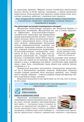 Тема2.Пищеварение
48
ет гнилостные процессы. Фермент пепсин способствует расщеплению
молекул белков на более простые соединения, а липаза расщепляет
жиры молока. В желудочном соке взрослых людей липазы очень мало,
поэтому возможны проблемы с усвоением этого продукта.
Итак, желудочный сок является сложным раствором неорганических
и органических соединений, определяющих основные процессы
пищеварения в желудке.
Как происходит регуляция пищеварения в желудке?
Желудочное сокоотделение находится под контролем нервных и
гуморальных механизмов. Желудочный сок, как и слюна, выделяет­
ся рефлекторно. Безусловно-рефлекторное
сокоотделение происходит при раздражении
пищей рецепторов ротовой полости, глотки и
самого желудка. Центр сокоотделения распо­
ложен в продолговатом мозгу, откуда посту­
пают сигналы, возбуждающие желудочные
железы (парасимпатические влияния) или
оказывают тормозящее влияние на желудоч­
ную секрецию (симпатическое воздействие).
Условно-рефлекторное сокоотделение начи­
нается на вид и запах пищи. При этом вы­
деляется аппетитный сок, который готовит
желудок к восприятию пищи. Невкусная еда вызывает мало аппетит­
ного сока или совсем его не вызывает. Негативно влияют на его обра­
зование и игра с телефонами или работа с ноутбуками перед приёмом
пищи, страх, боль, употребление перед обедом или ужином чипсов,
сухариков и т. п.
Гуморальную регуляцию желудочного сокоотделения осуществля­
ют еда и биологически активные вещества. Возбуждают секрецию
гастрин (гормон выходной части желудка), пряности, соль, отвары
мяса и овощей, тормозят – секретин (гормон слизистой оболочки тон­
кого кишечника), жиры, кислоты.
Выделение желудочного сока происходит до тех пор, пока в желуд­
ке есть пища.
Итак, выделение желудочного сока регулируется
рефлекторно и гуморально.
	 ДЕЯТЕЛЬНОСТЬ
	 Учимся познавать
Задача на применение знаний
Определите последовательность процессов
пищеварения в вашем организме после того, как
вы съели кусочек нежного шоколадно-банано­
вого торта: з – склеивание пищи в пищевые ко-
мочки и их перемещения в желудок; и1 – расще-
пление амилазами слюны сложных углеводов и
восприятие сладкого вкуса этого шедевра; и2 – окончательное прикле-
точное расщепление сложных питательных веществ и всасывание
Ил. 23. Пища должна быть
вкусной, красивой и полез-
ной для того, чтобы выраба-
тывался аппетитный сок
 