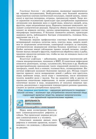Тема2.Пищеварение
56
Глистные болезни – это заболевания, вызванные паразитически­
ми червями (гельминтами). Возбудителями этих болезней являются
представители плоских (печёночный сосальщик, свиной цепень, эхино­
кокк) и круглых (аскариды, острицы, трихинелла) червей. Чаще все­
го заражение гельминтами происходит при употреблении заражённого
личинками или финнами мяса и сырой воды, немытых овощей, ягод,
фруктов, через загрязнённые руки. Паразиты снижают иммунитет, вы­
зывают аллергические реакции. Продукты обмена веществ гельминтов
влияют на нервную систему, органы кроветворения, изменяют состав
микрофлоры кишечника. У больных снижается аппетит, происходят
задержка роста, наблюдаются быстрая утомляемость, головная боль,
нарушение сна и т. д.
Основными мерами профилактики глистных болезней являются
ветеринарный контроль качества мяса, очистка воды, защита водоё­
мов от загрязнения нечистотами, санитарный контроль за свалками,
систематические медицинские осмотры больных животных и людей.
Особое значение имеют соблюдение правил личной гигиены, употре­
бление мытых овощей и фруктов, термическая обработка мяса и рыбы,
хранение продуктов питания так, чтобы на них не попадала пыль и не
садились мухи и др.
Кишечные инфекции – заболевания, вызванные токсическим дей­
ствием микроорганизмов, попавших в ЖКТ. К кишечным инфекциям
относятся дизентерия, холера, сальмонеллёз, ботулизм и др. Наиболее
распространёнными признаками таких отравлений являются поносы,
лихорадка, озноб, боль в животе, головная боль, головокружение. Ки­
шечные инфекции называют болезнями грязных рук. Отсюда следует
простое правило: после возвращения домой с работы или прогулки,
перед приёмами пищи, после игры с животными, после посещения
туалета вымойте руки с мылом. Так вы защитите себя и других от
заражения кишечными инфекциями. А также употребляйте только
кипячёные молоко и воду, воздержитесь от покупки пищевых про­
дуктов, реализуемых с нарушением температурного режима хранения,
следите за сроком употребления продуктов.
Итак, пищевые расстройства – нарушение деятельности пищевари-
тельной системы – возникают при употреблении некачественной пищи,
содержащей ядовитые вещества, вредные микроорганизмы
или заражённой паразитическими червями.
	 ДЕЯТЕЛЬНОСТЬ
	 Учимся познавать
Самостоятельная работа с иллюстрацией
Перед вами иллюстрация безуслов­
ного слюноотделительного рефлекса у
собаки. Так происходит нервная регуля­
ция слюноотделения и у человека.
Сопоставьте названия звеньев этого
рефлекса и описание процессов, осущест­
вляемых с их помощью, с обозначениями
на рисунке. 1 5
4
3
2
 
