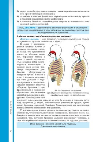 Тема3.Дыхание
62
3) 	транспорт дыхательных газов (активное перемещение газов пото­
ком крови благодаря конвекции);
4) 	газообмен в тканях (пассивное перемещение газов между кровью
и тканевой жидкостью путём диффузии);
5) 	клеточное дыхание (высвобождение энергии из питательных сое­
динений путём окисления).
Итак, ДЫХАНИЕ – совокупность сложных физических и химических
процессов, направленных в конечном итоге на получение энергии для
жизнедеятельности организма.
В чём заключаются особенности дыхания человека?
Легочное дыхание – это дыхание с помощью внутренних специа-
лизированных органов газообмена – лёгких.
В связи с прямохож­
дением грудная клетка у
человека сплющена спере­
ди назад, что существенно
влияет на лёгочное дыха­
ние. Верхушка лёгких в
связи с малой подвижно­
стью верхних ребер венти­
лируется недостаточно, а
нижние доли лёгких бла­
годаря сокращению диа­
фрагмы обеспечиваются
воздухом лучше. В связи с
этим у человека выделяют
три типа дыхания – груд-
ное, брюшное и смешанное.
Грудное дыхание является
рёберным, брюшное – диа­
фрагмальным, а смешанное
обусловлено сокращением
межрёберных мышц и диа­
фрагмы. Преобладание того
или иного типа дыхания зависит от пола (у женщин в основном груд­
ное), профессии (у людей, занимающихся физическим трудом, преоб­
ладает брюшное дыхание). Наиболее благоприятным для вентиляции
лёгких является смешанный тип дыхания.
У человека очень хорошо развиты механизмы регуляции дыхания,
особенно те, что осуществляются при участии коры большого мозга. На­
блюдается взаимосвязь дыхания с положительными и отрицательными
эмоциями. Так, глубокое брюшное дыхание успокаивает человека, а
гнев или стрессовая ситуация вызывают переход на грудное дыхание.
Итак, дыхание человека может быть грудным,
брюшным и смешанным.
Ил. 28. Смешанный тип дыхания:
вдох обусловлен сокращением межрёберных мышц
и диафрагмы, а выдох – их расслаблением
 