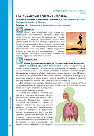 Тема3.Дыхание
64
Dum spiro, spero (Пока дышу, надеюсь).
Овидий
§ 14.	 ДЫХАТЕЛЬНАЯ СИСТЕМА ЧЕЛОВЕКА
Основные понятия и ключевые термины: ДЫХАТЕЛЬНАЯ СИСТЕМА.
Воздухоносные пути. Лёгкие.
Вспомните!	 Каковы этапы и основные процессы дыхания?
	Докажите!
Йога – это древнейший образ жизни для
достижения полноценного здоровья. Йоги уде­
ляют огромное внимание формированию умений
правильного дыхания. Существует раздел йоги
(хатха-йога), который с помощью различных поз
(асан) и специальных дыхательных упражнений
(пранаям) учит, как развивать и совершенствовать
возможности всего организма. «Йога существует
в мире, потому что всё взаимосвязано», – сказал
один мудрец. Докажите взаимосвязь органов ды­
хания с другими органами человека.
	 СОДЕРЖАНИЕ
	 Какие функции выполняет дыхательная система человека?
ДЫХАТЕЛЬНАЯ СИСТЕМА ЧЕЛОВЕКА – это совокупность ор-
ганов, обеспечивающих поступление кислорода, газообмен и удале-
ние углекислого газа. Эта физиологическая система состоит из воз­
духоносных путей и лёгких, расположенных внутри тела. Поэтому
её основными функциями являются приток воздуха с кислородом,
удаление воздуха с углекислым газом и газообмен воздуха с кровью.
Все эти процессы составляют этап внешнего дыхания.
Для поступления воздуха органы дыхания и стенки воздухоносных
путей образованы из костей и хрящей, благодаря которым они не опа­
дают, и воздух свободно циркулиру­
ет во время выдоха и вдоха.
Тесная взаимосвязь органов ды­
хания с другими органами обеспе­
чивает выполнение дополнительных
функций. Внутренняя слизистая
оболочка воздухоносных путей со­
держит слизистые железы, секрет
которых увлажняет, обволакивает
и удаляет пылинки и микроорга­
низмы, попадающие с воздухом (за-
щитная функция). Носовая полость
содержит обонятельные рецепторы,
воспринимающие и передающие ин­
формацию к коре полушарий, где
формируются обонятельные ощуще­ Ил. 29. Дыхательная система человека
 