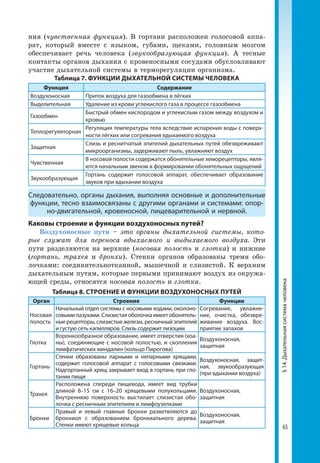 65
§14.Дыхательнаясистемачеловека
ния (чувственная функция). В гортани расположен голосовой аппа­
рат, который вместе с языком, губами, щеками, головным мозгом
обеспечивает речь человека (звукообразующая функция). А тесные
контакты органов дыхания с кровеносными сосудами обусловливают
участие дыхательной системы в терморегуляции организма.
Таблица 7. ФУНКЦИИ ДЫХАТЕЛЬНОЙ СИСТЕМЫ ЧЕЛОВЕКА
Функция Содержание
Воздухоносная Приток воздуха для газообмена в лёгких
Выделительная Удаление из крови углекислого газа в процессе газообмена
Газообмен
Быстрый обмен кислородом и углекислым газом между воздухом и
кровью
Теплорегуляторная
Регуляция температуры тела вследствие испарения воды с поверх-
ности лёгких или согревания вдыхаемого воздуха
Защитная
Слизь и реснитчатый эпителий дыхательных путей обезвреживают
микроорганизмы, задерживают пыль, увлажняют воздух
Чувственная
В носовой полости содержатся обонятельные хеморецепторы, явля-
ются начальным звеном в формировании обонятельных ощущений
Звукообразующая
Гортань содержит голосовой аппарат, обеспечивает образование
звуков при вдыхании воздуха
Следовательно, органы дыхания, выполняя основные и дополнительные
функции, тесно взаимосвязаны с другими органами и системами: опор-
но-двигательной, кровеносной, пищеварительной и нервной.
Каковы строение и функции воздухоносных путей?
Воздухоносные пути – это органы дыхательной системы, кото-
рые служат для переноса вдыхаемого и выдыхаемого воздуха. Эти
пути разделяются на верхние (носовая полость и глотка) и нижние
(гортань, трахея и бронхи). Стенки органов образованы тремя обо­
лочками: соединительнотканной, мышечной и слизистой. К верхним
дыхательным путям, которые первыми принимают воздух из окружа­
ющей среды, относятся носовая полость и глотка.
Таблица 8. СТРОЕНИЕ И ФУНКЦИИ ВОЗДУХОНОСНЫХ ПУТЕЙ
Орган Строение Функции
Носовая
полость
Начальный отдел системы с носовыми ходами, околоно-
совыми пазухами. Слизистая оболочка имеет обонятель-
ные рецепторы, слизистые железы, ресничный эпителий
и густую сеть капилляров. Слизь содержит лизоцим
Согревание, увлажне-
ние, очистка, обезвре-
живание воздуха. Вос­
приятие запахов
Глотка
Воронкообразное образование, имеет отверстия (хоа­
ны), соединяющие с носовой полостью, и скопления
лимфатических миндалин (кольцо Пирогова)
Воздухоносная,
защитная
Гортань
Стенки образованы парными и непарными хрящами,
содержит голосовой аппарат с голосовыми связками.
Надгортанный хрящ закрывает вход в гортань при гло-
тании пищи
Воздухоносная, защит-
ная, звукообразующая
(при вдыхании воздуха)
Трахея
Расположена спереди пищевода, имеет вид трубки
длиной 8–15 см с 16–20 хрящевыми полукольцами.
Внутреннюю поверхность выстилает слизистая обо-
лочка с ресничным эпителием и лимфоузелками
Воздухоносная,
защитная
Бронхи
Правый и левый главные бронхи разветвляются до
бронхиол с образованием бронхиального дерева.
Стенки имеют хрящевые кольца
Воздухоносная,
защитная
 