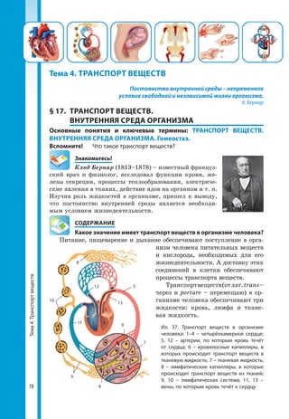Тема4.Транспортвеществ
78
Постоянство внутренней среды – непременное
условие свободной и независимой жизни организма.
К. Бернар
§ 17.	 ТРАНСПОРТ ВЕЩЕСТВ.
ВНУТРЕННЯЯ СРЕДА ОРГАНИЗМА
Основные понятия и ключевые термины: ТРАНСПОРТ ВЕЩЕСТВ.
ВНУТРЕННЯЯ СРЕДА ОРГАНИЗМА. Гомеостаз.
Вспомните!	 Что такое транспорт веществ?
	Знакомьтесь!
Клод Бернар (1813–1878) – известный француз-
ский врач и физиолог, исследовал функции крови, же-
лезы секреции, процессы теплообразования, электриче-
ские явления в тканях, действие ядов на организм и т. п.
Изучив роль жидкостей в организме, пришел к выводу,
что постоянство внутренней среды является необходи-
мым условием жизнедеятельности.
	 СОДЕРЖАНИЕ
	 Какое значение имеет транспорт веществ в организме человека?
Питание, пищеварение и дыхание обеспечивают поступление в орга-
низм человека питательных веществ
и кислорода, необходимых для его
жизнедеятельности. А доставку этих
соединений в клетки обеспечивают
процессы транспорта веществ.
Транспортвеществ(отлат.trans–
через и portare – перемещаю) в ор-
ганизме человека обеспечивают три
жидкости: кровь, лимфа и ткане-
вая жидкость.
Тема 4. ТРАНСПОРТ ВЕЩЕСТВ
Ил. 37. Транспорт веществ в организме
человека: 1–4 – четырёхкамерное сердце;
5, 12 – артерии, по которым кровь течёт
от сердца; 6 – кровеносные капилляры, в
которых происходит транспорт веществ в
тканевую жидкость; 7 – тканевая жидкость;
8 – лимфатические капилляры, в которые
происходит транспорт веществ из тканей;
9, 10 – лимфатическая система; 11, 13 –
вены, по которым кровь течёт к сердцу
1
8
10
11
13
5
6
7
8
9
12
3
2 4
 