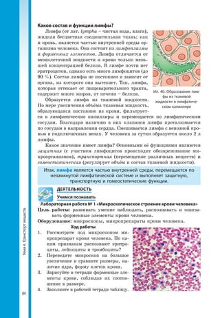 Тема4.Транспортвеществ
84
Каков состав и функции лимфы?
Лимфа (от лат. lympha – чистая вода, влага),
жидкая бесцветная соединительная ткань; как
и кровь, является частью внутренней среды ор-
ганизма человека. Она состоит из лимфоплазмы
и форменных элементов. Лимфа отличается от
межклеточной жидкости и крови только мень-
шей концентрацией белков. В лимфе почти нет
эритроцитов, однако есть много лимфоцитов (до
90 %). Состав лимфы не постоянен и зависит от
органа, из которого она вытекает. Так, лимфа,
которая оттекает от пищеварительного тракта,
содержит много жиров, от печени – белков.
Образуется лимфа из тканевой жидкости.
По мере увеличения объёма тканевая жидкость,
образующаяся постоянно из крови, фильтрует-
ся в лимфатические капилляры и перемещается по лимфатическим
сосудам. Благодаря наличию в них клапанов лимфа проталкивается
по сосудам в направлении сердца. Смешивается лимфа с венозной кро-
вью в подключичных венах. У человека за сутки образуется около 2 л
лимфы.
Какое значение имеет лимфа? Основными её функциями являются
защитная (с участием лимфоцитов происходит обезвреживание ми-
кроорганизмов), транспортная (перемещение различных веществ) и
гомеостатическая (регулирует объём и состав тканевой жидкости).
Итак, лимфа является частью внутренней среды, перемещается по
незамкнутой лимфатической системе и выполняет защитную,
транспортную и гомеостатические функции.
	 ДЕЯТЕЛЬНОСТЬ
	 Учимся познавать
Лабораторная работа № 1 «Микроскопическое строение крови человека»
Цель работы: развивать умение наблюдать, распознавать и описы-
вать форменные элементы крови человека.
Оборудование: микроскопы, микропрепараты крови человека.
Ход работы
1. 	Рассмотрите под микроскопом ми-
кропрепарат крови человека. По ка-
ким признакам распознают эритро-
циты, лейкоциты и тромбоциты?
2. 	Переведите микроскоп на большое
увеличение и сравните размеры, на-
личие ядра, форму клеток крови.
3. 	 Зарисуйте в тетради форменные эле-
менты крови, соблюдая их соотно-
шение в размере.
4. 	 Заполните в рабочей тетради таблицу.
Ил. 40. Образование лим­
фы из тканевой
жидкости в лимфатиче­
ском капилляре
 