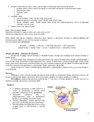 Biologija -pripremna_nastava | PDF