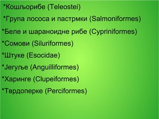 *Кошљорибе (Teleostei)
*Група лососа и пастрмки (Salmoniformes)
*Беле и шараноидне рибе (Cypriniformes)
*Сомови (Siluriformes)
*Штуке (Esocidae)
*Јегуље (Anguilliformes)
*Харинге (Clupeiformes)
*Тврдоперке (Perciformes)
 