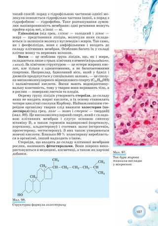 такий спосіб: поряд з гідрофільною частиною однієї мо-
лекули опиняється гідрофільна частина іншої, а поряд з
гідрофобною — гідрофобна. Таке розташування зумов-
лює напівпроникність мембрани: одні речовини можуть
пройти крізь неї, а інші — ні.
Гліколіпіди (від грец. глікос — солодкий і ліпос —
жир) — представники ліпідів, молекули яких склада-
ються із залишків молекул вуглеводів і жирів. Так само,
як і фосфоліпіди, вони є амфіфільними і входять до
складу клітинних мембран. Особливо багато їх у складі
клітин мозку та нервових волокон.
Воски — це особлива група ліпідів, що, як і жири,
складаються лише з трьох хімічних елементів (пригадайте,
з яких). За хімічною структурою — це естери жирних кис-
лот, але тільки з одноатомними, а не багатоатомними
спиртами. Наприклад, бджолиний віск, який у бджіл і
джмелів продукується у спеціальних залозах, — це сполу-
ка високомолекулярного мірицилового спирту (С31Н63ОН)
і пальмітинової кислоти. Воски мають водовідштовху-
вальну властивість, тому у тварин вони вкривають тіло, а
в рослин — поверхню листків та плодів.
Окрему групу ліпідів утворюють стероїди, до складу
яких не входять жирні кислоти, а їх основу становлять
чотири циклічні сполуки Карбону. Найважливішим сте-
роїдом організму тварин слід вважати холестерин (хо-
лестирол) (від грец. холе — жовч і стереос — твердий)
(мал. 98). Це високомолекулярний спирт, який є складо-
вою клітинних мембран і слугує основою синтезу
вітаміну D, а також гормонів надниркової (кортизолу,
кортизону, альдостерону) і статевих залоз (естрогенів,
прогестерону, тестостерону). З них також утворюються
жовчні кислоти. Близько 80 % холестерину виробляєть-
ся в організмі, інший надходить з їжею.
Стероїди, що входять до складу клітинної мембрани
рослин, називають фітостиролами. Вони широко вико-
ристовуються в медицині, косметиці, а також як харчові
добавки.
107
Мал. 97.
Так бура жирова
тканина виглядає
у мікроскоп
Мал. 98.
Структурна формула холестерину
 