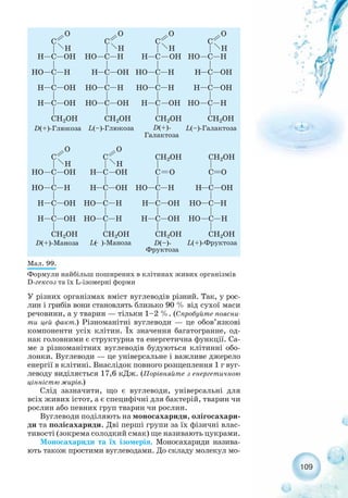 109
Мал. 99.
Формули найбільш поширених в клітинах живих організмів
D гексоз та їх L ізомерні форми
У різних організмах вміст вуглеводів різний. Так, у рос-
лин і грибів вони становлять близько 90 % від сухої маси
речовини, а у тварин — тільки 1–2 %. (Спробуйте поясни-
ти цей факт.) Різноманітні вуглеводи — це обов’язкові
компоненти усіх клітин. Їх значення багатогранне, од-
нак головними є структурна та енергетична функції. Са-
ме з різноманітних вуглеводів будуються клітинні обо-
лонки. Вуглеводи — це універсальне і важливе джерело
енергії в клітині. Внаслідок повного розщеплення 1 г вуг-
леводу виділяється 17,6 кДж. (Порівняйте з енергетичною
цінністю жирів.)
Слід зазначити, що є вуглеводи, універсальні для
всіх живих істот, а є специфічні для бактерій, тварин чи
рослин або певних груп тварин чи рослин.
Вуглеводи поділяють на моносахариди, олігосахари-
ди та полісахариди. Дві перші групи за їх фізичні влас-
тивості (зокрема солодкий смак) ще називають цукрами.
Моносахариди та їх ізомерія. Моносахариди назива-
ють також простими вуглеводами. До складу молекул мо-
 