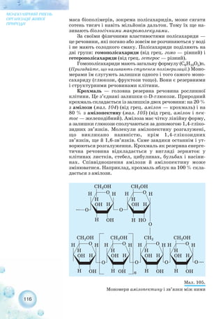 маса біополімерів, зокрема полісахаридів, може сягати
сотень тисяч і навіть мільйонів дальтон. Тому їх ще на-
зивають біологічними макромолекулами.
За своїми фізичними властивостями полісахариди —
це речовини, які погано або зовсім не розчиняються у воді
і не мають солодкого смаку. Полісахариди поділяють на
дві групи: гомополісахариди (від грец. гомо — рівний) і
гетерополісахариди (від грец. гетерос — різний).
Гомополісахариди мають загальну формулу (С6H10О5)n.
(Пригадайте, що називають ступенем полімеризації.) Моно-
мерами їм слугують залишки одного і того самого моно-
сахариду (глюкози, фруктози тощо). Вони є резервними
і структурними речовинами клітини.
Крохмаль — головна резервна речовина рослинної
клітини. Це з’єднані залишки α D глюкози. Природний
крохмаль складається із залишків двох речовини: на 20 %
з амілози (мал. 104) (від грец. амілон — крохмаль) і на
80 % з амілопектину (мал. 105) (від грец. амілон і пек-
тос — желеподібний). Амілоза має чітку лінійну форму,
а залишки глюкози сполучаються за допомогою 1,4 гліко-
зидних зв’язків. Молекули амілопектину розгалужені,
що викликано наявністю, крім 1,4 глікозидних
зв’язків, ще й 1,6 зв’язків. Саме завдяки останнім і ут-
ворюються розгалуження. Крохмаль як резервна енерге-
тична речовина відкладається у вигляді зерняток у
клітинах листків, стебел, цибулинах, бульбах і насіни-
нах. Співвідношення амілози й амілопектину може
змінюватися. Наприклад, крохмаль яблук на 100 % скла-
дається з амілози.
116
МОЛЕКУЛЯРНИЙ РІВЕНЬ
ОРГАНІЗАЦІЇ ЖИВОЇ
ПРИРОДИ
Мал. 105.
Мономери амілопектину і зв’язки між ними
 