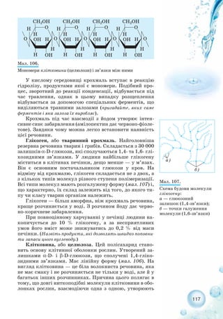 117
У кислому середовищі крохмаль вступає в реакцію
гідролізу, продуктами якої є мономери. Подібний про-
цес, зворотний до реакції конденсації, відбувається під
час травлення, однак в цьому випадку розщеплення
відбувається за допомогою спеціальних ферментів, що
виділяються травними залозами (пригадайте, яких саме
ферментів і яка залоза їх виробляє).
Крохмаль під час взаємодії з йодом утворює інтен-
сивне синє забарвлення (амілопектин дає червоно фіоле-
тове). Завдяки чому можна легко встановити наявність
цієї речовини.
Глікоген, або тваринний крохмаль. Найголовніша
резервна речовина тварин і грибів. Складається з 30 000
залишків α D глюкози, які сполучаються 1,4 та 1,6 глі-
козидними зв’язками. У людини найбільше глікогену
міститься в клітинах печінки, дещо менше — у м’язах.
Він є основним постачальником глюкози у кров. На
відміну від крохмалю, глікоген складається не з двох, а
з кількох типів молекул різного ступеня полімеризації.
Всі типи молекул мають розгалужену форму (мал. 107) і,
що характерно, їх склад залежить від того, до якого ти-
пу чи класу тварин організм належить.
Глікоген — більш аморфна, ніж крохмаль речовина,
краще розчиняється у воді. З розчином йоду дає черво-
но коричневе забарвлення.
При повноцінному харчуванні у печінці людини на-
копичується до 10 % глікогену, а за несприятливих
умов його вміст може знижуватись до 0,2 % від маси
печінки. (Назвіть продукти, які дозволять швидко поповни-
ти запаси цього вуглеводу.)
Клітковина, або целюлоза. Цей полісахарид стано-
вить основу клітинної оболонки рослин. Утворений за-
лишками α D і β D глюкози, що сполучені 1,4 гліко-
зидними зв’язками. Має лінійну форму (мал. 106). На
вигляд клітковина — це біла волокниста речовина, яка
не має смаку і не розчиняється не тільки у воді, але й у
багатьох інших розчинниках. Причина цього полягає в
тому, що довгі ниткоподібні молекули клітковини в обо-
лонках рослин, взаємодіючи одна з одною, утворюють
Мал. 106.
Мономери клітковини (целюлози) і зв’язки між ними
Мал. 107.
Схема будови молекули
глікогену:
а — глюкозний
залишок (1,4 зв’язки);
б — точки галуження
молекули (1,6 зв’язки)
 