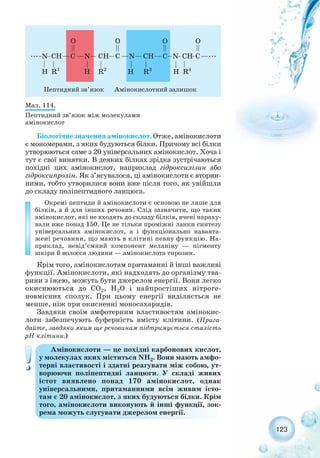 123
Мал. 114.
Пептидний зв’язок між молекулами
амінокислот
Біологічне значення амінокислот. Отже, амінокислоти
є мономерами, з яких будуються білки. Причому всі білки
утворюються саме з 20 універсальних амінокислот. Хоча і
тут є свої винятки. В деяких білках зрідка зустрічаються
похідні цих амінокислот, наприклад гідроксилізин або
гідроксипролін. Як з’ясувалося, ці амінокислоти є вторин-
ними, тобто утворилися вони вже після того, як увійшли
до складу поліпептидного ланцюга.
Окремі пептиди й амінокислоти є основою не лише для
білків, а й для інших речовин. Слід зазначити, що таких
амінокислот, які не входять до складу білків, вчені нараху-
вали вже понад 150. Це не тільки проміжні ланки синтезу
універсальних амінокислот, а і функціонально наванта-
жені речовини, що мають в клітині певну функцію. На-
приклад, невід’ємний компонент меланіну — пігменту
шкіри й волосся людини — амінокислота тирозин.
Крім того, амінокислотам притаманні й інші важливі
функції. Амінокислоти, які надходять до організму тва-
рини з їжею, можуть бути джерелом енергії. Вони легко
окиснюються до СО2, Н2О і найпростіших нітроге-
новмісних сполук. При цьому енергії виділяється не
менше, ніж при окисненні моносахаридів.
Завдяки своїм амфотерним властивостям амінокис-
лоти забезпечують буферність вмісту клітини. (Прига-
дайте, завдяки яким ще речовинам підтримується сталість
рН клітини.)
Амінокислоти — це похідні карбонових кислот,
у молекулах яких міститься NH2. Вони мають амфо-
терні властивості і здатні реагувати між собою, ут-
ворюючи поліпептидні ланцюги. У складі живих
істот виявлено понад 170 амінокислот, однак
універсальними, притаманними всім живим істо-
там є 20 амінокислот, з яких будуються білки. Крім
того, амінокислоти виконують й інші функції, зок-
рема можуть слугувати джерелом енергії.
 