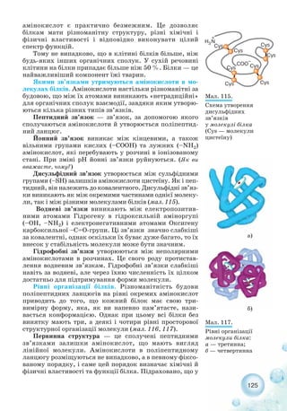 125
амінокислот є практично безмежним. Це дозволяє
білкам мати різноманітну структуру, різні хімічні і
фізичні властивості і відповідно виконувати цілий
спектр функцій.
Тому не випадково, що в клітині білків більше, ніж
будь яких інших органічних сполук. У сухій речовині
клітини на білки припадає більше ніж 50 %. Білки — це
найважливіший компонент їжі тварин.
Якими зв’язками утримуються амінокислоти в мо-
лекулах білків. Амінокислоти настільки різноманітні за
будовою, що між їх атомами виникають «нетрадиційні»
для органічних сполук взаємодії, завдяки яким утворю-
ються кілька різних типів зв’язків.
Пептидний зв’язок — зв’язок, за допомогою якого
сполучаються амінокислоти й утворюється поліпептид-
ний ланцюг.
Йонний зв’язок виникає між кінцевими, а також
вільними групами кислих (–СООН) та лужних (–NH2)
амінокислот, які перебувають у розчині в іонізованому
стані. При зміні рН йонні зв’язки руйнуються. (Як ви
вважаєте, чому?)
Дисульфідний зв’язок утворюється між сульфідними
групами (–SH) залишків амінокислоти цистеїну. Як і пеп-
тидний, він належить до ковалентного. Дисульфідні зв’яз-
ки виникають як між окремими частинами однієї молеку-
ли, так і між різними молекулами білків (мал. 115).
Водневі зв’язки виникають між електропозитив-
ними атомами Гідрогену в гідроксильній аміноргупі
(–OH, –NH2) і електронегативними атомами Оксигену
карбоксильної –С=О групи. Ці зв’язки значно слабкіші
за ковалентні, однак оскільки їх буває дуже багато, то їх
внесок у стабільність молекули може бути значним.
Гідрофобні зв’язки утворюються між неполярними
амінокислотами в розчинах. Це свого роду протистав-
лення водневим зв’язкам. Гідрофобні зв’язки слабкіші
навіть за водневі, але через їхню численність їх цілком
достатньо для підтримування форми молекули.
Рівні організації білків. Різноманітність будови
поліпептидних ланцюгів на рівні окремих амінокислот
приводить до того, що кожний білок має свою три-
вимірну форму, яка, як ви напевно пам’ятаєте, нази-
вається конформацією. Однак при цьому всі білки без
винятку мають три, а деякі і чотири рівні просторової
структурної організації молекули (мал. 116, 117).
Первинна структура — це сполучені пептидними
зв’язками залишки амінокислот, що мають вигляд
лінійної молекули. Амінокислоти в поліпептидному
ланцюгу розміщуються не випадково, а в певному фіксо-
ваному порядку, і саме цей порядок визначає хімічні й
фізичні властивості та функції білка. Підраховано, що у
Мал. 115.
Схема утворення
дисульфідних
зв’язків
у молекулі білка
(Cys — молекули
цистеїну)
Мал. 117.
Рівні організації
молекули білка:
а — третинна;
б — четвертинна
а)
б)
 
