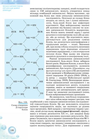 невеликому поліпептидному ланцюзі, який складається
лише із 150 амінокислот, можуть утворитися понад
мільярд комбінацій амінокислот. Звідси випливає, що
кожний вид білка має свою унікальну амінокислотну
послідовність. Оскільки до складу білка
входять як кислі, так і лужні амінокис-
лоти, будь який білок має амфотерні
властивості. При нейтральному значені
рН залежно від балансу кислих чи луж-
них амінокислот більшість водорозчин-
них білків мають певний заряд і здатні
рухатися в електричному полі або до ано-
ду, або до катоду. Ця властивість вико-
ристовується для розділення суміші
білків, що досягається електрофорезом у
спеціальних носіях — гелях. Значення
рН, при якому в білку кількість негативно
заряджених груп відповідає кількості
позитивно заряджених, є ізоелектричною
точкою білка. При цьому він втрачає
здатність рухатися в електричному полі.
Раніше встановлення амінокислотної
послідовності будь якого білка забирало
багато років. Першим білком, в якого була
розшифрована послідовність залишків
амінокислот, був інсулін. (Пригадайте, яку
функцію виконує цей гормон.) Ці дослідження
були проведені в Кембриджському універ-
ситеті впродовж 10 років (1945–1954), а
їх автор — лауреат Нобелівської премії
Ф. Сенгер (нар. 1918). Безпосереднє визна-
чення амінокислотної послідовності і на
сьогодні залишається досить складною
справою, навіть за наявності спеціальних
приладів, які автоматизують цей процес.
У наш час визначені послідовності сотень
білків найрізноманітніших організмів.
Як виявилося, чим більш споріднени-
ми є між собою види тварин і рослин, тим
подібніший у них порядок амінокислотних послідовнос-
тей гомологічних білків. Це дає можливість кількісно
оцінити спорідненість видів, що належать до різних
груп організмів. Цей напрям у систематиці тварин і рос-
лин, який дістав назву молекулярної філогенії, сформу-
вався в останні десятиліття XX ст., але завдяки йому
вже отримано ряд важливих наукових результатів. Зок-
рема з’ясувалося, що в людини і шимпанзе більш ніж 98 %
білків мають ідентичні амінокислотні послідовності, а
тому вчені говорять, що людину і шимпанзе «виліплено з
одного молекулярного тіста». Для порівняння: у зовні
126
МОЛЕКУЛЯРНИЙ РІВЕНЬ
ОРГАНІЗАЦІЇ ЖИВОЇ
ПРИРОДИ
Мал. 118.
Схема утворення
β структури
білків
 