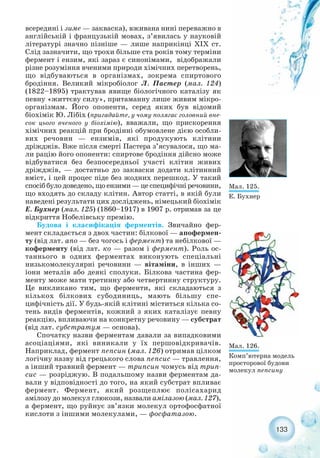 133
всередині і зиме — закваска), вживана нині переважно в
англійській і французькій мовах, з’явилась у науковій
літературі значно пізніше — лише наприкінці ХІХ ст.
Слід зазначити, що трохи більше ста років тому терміни
фермент і ензим, які зараз є синонімами, відображали
різне розуміння вченими природи хімічних перетворень,
що відбуваються в організмах, зокрема спиртового
бродіння. Великий мікробіолог Л. Пастер (мал. 124)
(1822–1895) трактував явище біологічного каталізу як
певну «життєву силу», притаманну лише живим мікро-
організмам. Його опоненти, серед яких був відомий
біохімік Ю. Лібіх (пригадайте, у чому полягає головний вне-
сок цього вченого у біохімію), вважали, що прискорення
хімічних реакцій при бродінні обумовлене дією особли-
вих речовин — ензимів, які продукують клітини
дріжджів. Вже після смерті Пастера з’ясувалося, що ма-
ли рацію його опоненти: спиртове бродіння дійсно може
відбуватися без безпосередньої участі клітин живих
дріжджів, — достатньо до закваски додати клітинний
вміст, і цей процес піде без жодних перешкод. У такий
спосіб було доведено, що ензими — це специфічні речовини,
що входять до складу клітин. Автор статті, в якій були
наведені результати цих досліджень, німецький біохімік
Е. Бухнер (мал. 125) (1860–1917) в 1907 р. отримав за це
відкриття Нобелівську премію.
Будова і класифікація ферментів. Звичайно фер-
мент складається з двох частин: білкової — апофермен-
ту (від лат. апо — без чогось і фермент) та небілкової —
коферменту (від лат. ко — разом і фермент). Роль ос-
таннього в одних ферментах виконують спеціальні
низькомолекулярні речовини — вітаміни, в інших —
іони металів або деякі сполуки. Білкова частина фер-
менту може мати третинну або четвертинну структуру.
Це викликано тим, що ферменти, які складаються з
кількох білкових субодиниць, мають більшу спе-
цифічність дії. У будь якій клітині міститься кілька со-
тень видів ферментів, кожний з яких каталізує певну
реакцію, впливаючи на конкретну речовину — субстрат
(від лат. субстратум — основа).
Спочатку назви ферментам давали за випадковими
асоціаціями, які виникали у їх першовідкривачів.
Наприклад, фермент пепсин (мал. 126) отримав цілком
логічну назву від грецького слова пепсис — травлення,
а інший травний фермент — трипсин чомусь від трип-
сис — розріджую. В подальшому назви ферментам да-
вали у відповідності до того, на який субстрат впливає
фермент. Фермент, який розщеплює полісахарид
амілозу до молекул глюкози, назвали амілазою (мал. 127),
а фермент, що руйнує зв’язки молекул ортофосфатної
кислоти з іншими молекулами, — фосфатазою.
Мал. 125.
Е. Бухнер
Мал. 126.
Комп’ютерна модель
просторової будови
молекул пепсину
 