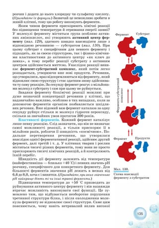 135
розчин і додати до нього хлоридну чи сульфатну кислоту.
(Пригадайте їх формули.) Зазвичай це неможливо зробити в
живій клітині, тому цю роботу виконують ферменти.
Яким чином ферменти прискорюють хімічні реакції
без підвищення температури й отримання енергії ззовні?
У молекулі ферменту міститься група особливо актив-
них амінокислот, які утворюють активний центр фер-
менту (мал. 129), здатного швидко взаємодіяти лише з
відповідною речовиною — субстратом (мал. 130). При
цьому субстрат є специфічним для певного ферменту і
підходить, як за своєю структурою, так і фізико хімічни-
ми властивостями до активного центру «як ключ до
замка», а тому перебіг реакції субстрату з активним
центром здійснюється миттєво. Унаслідок реакції вини-
кає фермент субстратний комплекс, який потім легко
розпадається, утворюючи вже нові продукти. Речовини,
що утворилися, враз відокремлюються від ферменту, який
відновлює свою структуру і стає здатним знову здійснюва-
ти ту саму реакцію. За секунду фермент реагує з мільйона-
ми молекул субстрату і сам при цьому не руйнується.
Завдяки ферменту біохімічні реакції можливі при
дуже незначній концентрації речовини у клітині, що
надзвичайно важливо, особливо в тих випадках, коли за
допомогою ферментів організм позбавляється шкідли-
вих речовин. Вже відомий вам фермент каталаза за одну
секунду руйнує стільки ж молекул гідроген пероксиду,
скільки за звичайних умов протягом 300 років.
Властивості ферментів. Кожний фермент каталізує
лише певну реакцію. Слід зазначити, що він не визначає
самої можливості реакції, а тільки прискорює її в
мільйони разів, роблячи її швидкість «космічною». По-
дальше перетворення речовини, що утворилася
внаслідок однієї ферментативної реакції, здійснює другий
фермент, далі третій і т. д. У клітинах тварин і рослин
містяться тисячі різних ферментів, тому вони не просто
прискорюють тисячі хімічних реакцій, а й контролюють
їхній перебіг.
Швидкість дії ферменту залежить від температури
(найефективніша — близько +40 °С) і певних значень рН
розчину, специфічного для конкретного ферменту. Для
більшості ферментів значення рН лежить в межах від
6,6 до 8,0, хоча є і винятки. (Пригадайте, при яких значеннях
рН найкраще діють ті чи інші травні ферменти.)
Підвищення температури до +50 °С призводить до
руйнування активного центру ферменту і він назавжди
втрачає можливість виконувати свої функції. Це зу-
мовлено тим, що відбувається необоротне порушення
третинної структури білка, і після охолодження моле-
кула ферменту не відновлює своєї структури. Саме цим
пояснюється, чому навіть нетривалий вплив високої
Мал. 130.
Схема взаємодії
ферменту з субстратом
 
