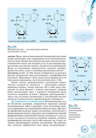 139
Мал. 133.
П’ятиатомні
моносахариди —
складові
компоненти
нуклеїнових
кислот
Мал. 134.
Мононуклеотиди — це структурні одиниці
нуклеїнових кислот
зидами. Вони є результатом реакції конденсації між цими
двома сполуками, яка супроводжується виділенням мо-
лекули води. Назви нуклеозидів походять від назв нітро-
геновмісних основ, які входять до їх складу (наприклад,
нуклеозид, що містить аденін, називається аденозином).
Якщо до нуклеозиду приєднується залишок ортофос-
фатної кислоти, то це і є мономер нуклеїнових кислот —
нуклеотид (табл. 7). Він також утворюється за рахунок
реакції конденсації між нуклеозидом і ортофосфатною
кислотою. Відповідно і його назва також формується за
тим самим принципом, що й нуклеотиду (мал. 134).
Таким чином, різноманітність нуклеотидів визна-
чається складом їх молекули — структурою нітроге-
новмісної основи і типом пентози. Це у свою чергу обу-
мовлює їх різні фізичні і хімічні властивості, зокрема
різну молекулярну масу і здатність утворювати різну
кількість водневих зв’язків. Порядок розташування і
число тих чи інших нуклеотидів у нуклеїновій кислоті
визначає її унікальність і функціональні особливості.
Як утворюються полінуклеотиди. Полінуклеотиди, як і
всі біологічні полімери, утворюються внаслідок реакції
поліконденсації, тобто в реакціях, коли сполучення моле-
кул супроводжується виділенням молекули води. При цьо-
му фосфатний залишок одного нуклеотиду сполучається з
моносахаридом іншого, внаслідок чого утворюється міцний
фосфодіетерний ковалентний зв’язок. (Подумайте, чому цей
зв’язок називається діетерним.) Іншими словами, залишок
ортофосфатної кислоти слугує ніби ланкою, що з’єднує за-
лишки моносахаридів сусідніх нуклеотидів. Ця реакція,
яка спочатку відбувається між двома нуклеотидами і
 