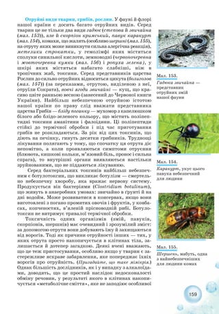 Отруйні види тварин, грибів, рослин. У фауні й флорі
нашої країни є досить багато отруйних видів. Серед
тварин це не тільки два види гадюк (степова й звичайна
(мал. 153)), але й скорпіон кримський, павук каракурт
(мал. 154), комахи, що жалять (особливо шершні (мал. 155),
на отруту яких може виникнути сильна алергічна реакція),
метелики строкатки, у гемолімфі яких містяться
сполуки синильної кислоти, земноводні (червоночеревна
і жовточеревна кумки (мал. 156) і ропуха зелена), у
шкірі яких містяться набагато слабкіші, ніж в
тропічних жаб, токсини. Серед представників царства
Рослин до сильно отруйних відноситься цикута (болиголов
(мал. 157)) (за переказами, отрутою, виділеною з неї,
отруїли Сократа), вовчі ягоди звичайні — кущ, що кра-
сиво цвіте ранньою весною (занесений до Червоної книги
України). Найбільш небезпечною отруйною істотою
нашої країни по праву слід вважати представника
царства Грибів — бліду поганку — мухомор з капелюшком
білого або блідо зеленого кольору, що містить поліпеп-
тидні токсини аманітини і фалоідини. Ці поліпептиди
стійкі до термічної обробки і під час приготування
грибів не розкладаються. За рік від цих токсинів, що
діють на печінку, гинуть десятки грибників. Труднощі
лікування полягають у тому, що спочатку ця отрута діє
непомітно, а коли проявляються симптоми отруєння
(блювота, кишкові кольки, м’язовий біль, пронос і сильна
спрага), то внутрішні органи виявляються настільки
зруйнованими, що не піддаються лікуванню.
Серед бактеріальних токсинів найбільш небезпеч-
ним є ботулотоксин, що викликає ботулізм — смертель-
но небезпечну хворобу, яка вражає нервову систему.
Продукується він бактеріями (Clostridium botulinum),
що живуть в анаеробних умовах: звичайно в ґрунті й на
дні водойм. Може розвиватися в консервах, якщо вони
виготовлені з погано промитих овочів і фруктів, у ковба-
сах, копченостях, в’яленій прісноводній рибі. Ботуло-
токсин не витримує тривалої термічної обробки.
Токсичність одних організмів (змій, павуків,
скорпіонів, шершнів) має очевидний і зрозумілий зміст:
за допомогою отрути вони добувають їжу й захищаються
від ворогів. Тоді як причини отруйності інших — тих, у
яких отрута просто накопичується в клітинах тіла, за-
лишається й дотепер загадкою. Деякі вчені вважають,
що це теж пристосування, особливо якщо у тварин є за-
стережливе яскраве забарвлення, яке попереджає їхніх
ворогів про отруйність. (Пригадайте, що таке мімікрія.)
Однак більшість дослідників, як і у випадку з алкалоїда-
ми, доводять, що це простий наслідок недосконалості
обміну речовин, у результаті якого в клітинах накопи-
чується «метаболічне сміття», яке не заподіює особливої
159
Мал. 153.
Гадюка звичайна —
представник
отруйних змій
нашої фауни
Мал. 154.
Каракурт, укус цього
павука небезпечний
для людини
Мал. 155.
Шершень, мабуть, одна
з найнебезпечніших
для людини комах
 