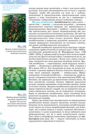 шкоди даному виду організмів, а тому є для нього нейт-
ральним. Але одна закономірність все ж таки є: отрутні
тварини, гриби або рослини аж ніяк не є найчис-
леннішими й процвітаючими представниками своїх
царств, а тому токсичність не дає їм у порівнянні з
«їстівними» побратимами ніяких особливих переваг.
Що таке антибіотики. Антибіотики (від грец. анти —
проти і біос — життя) — у вузькому розумінні — речовини
різноманітної хімічної природи, які виробляються в
мікроорганізмах (бактеріях і грибах) і здатні вбивати
або пригнічувати ріст інших мікроорганізмів або зло-
якісних пухлин багатоклітинного організму. На цей час
описано тисячі природних антибіотиків, хоча в медицині
використовується лише кілька десятків. Крім того,
антибіотиками в широкому розумінні вважають усі ре-
човини природного походження чи штучного синтезу,
які мають антибактеріальні властивості.
Перший антибіотик пеніцилін було виділено з мікро-
скопічного грибка Penicillium notatum (мал. 158) у 1929 р.
англійським мікробіологом О. Флемінгом (мал. 159)
(1881–1955). У промисловій кількості його почали вироб-
ляти під час Другої світової війни. І незважаючи на те, що
він був недостатньо сильним і, більш того, навіть токсич-
ним, пеніцилін все таки врятував мільйони життів. Дру-
гий антибіотик — стрептоміцин, який виділили також з
грибка — Streptomyces globisporus (мал. 160), з’явився в
40 х роках ХХ ст., був сильнішим за дією, не таким ток-
сичним і здатним вражати більшу кількість збудників, у
тому числі страшної хвороби — туберкульозу. Широ-
ковідомим є й інший антибіотик — тетрациклін, який по-
рушує утворення комплексу між транспортною РНК і ри-
босомою, що приводить до пригнічення синтезу білка. За
його допомогою сьогодні лікують інфекції дихальних
шляхів, зокрема пневмонію, сечостатевих органів, шкіри
та м’яких тканин. Завдяки антибіотикам вдалося певною
мірою перемогти багато хвороб, які до відкриття цих ре-
човин вважалися такими, що не піддаються лікуванню.
Зараз за допомогою антибіотиків, якщо лікування було
розпочато на ранніх стадіях, можна перемогти майже всі
бактеріальні хвороби.
Однак при невмілому використанні чи передозуванні
антибіотиків можна завдати організму великої шкоди.
Зокрема після неадекватного лікування антибіотиками,
коли гинуть не тільки хвороботворні бактерії, але й бак-
терії, які в нормі живуть у шкірі, слизових оболонках і
кишечнику і є дуже корисними, їх місце займають інші
мікроорганізми, які не в змозі компенсувати втрату.
Такі зміни в мікрофлорі кишечнику призводять до дис-
бактеріозу (від грец. дис — втрата і бактерії), за якого
порушуються травлення й імунітет.
160
МОЛЕКУЛЯРНИЙ РІВЕНЬ
ОРГАНІЗАЦІЇ ЖИВОЇ
ПРИРОДИ
Мал. 156.
Кумка червоночеревна,
у шкірі якої містяться
особливі токсини
Мал. 157.
Найвідоміша отруйна
рослина української
флори: болиголов,
яка може викликати
смертельне отруєння
 