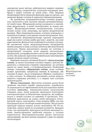 187
Мал. 173.
Мікрохірургічна
операція
на клітині
допомогою цього методу здійснюється перенос окремих
органел (ядер, хлоропластів, пластидів клітинних мем-
бран) з однієї клітини до іншої (мал. 173). Завдяки
мікрохірургії було виявлено функцію ядра як органа, що
визначає форму клітини й характер її функціонування.
За допомогою мікроманіпулятора клітини розріза-
ють, витягують з них частини, вводять речовини (мікро-
ін’єкції) тощо. Мікроманіпулятор поєднують із звичай-
ним мікроскопом, в який спостерігають за ходом опе-
рації. Мікрохірургічними інструментами слугують
скляні гачки, ігли, капиляри, що мають мікроскопічні
розміри. При мікроманіпуляціях клітини поміщають у
спеціальні камери, в які вводят також інструменти. Так,
за допомогою мікроманіпулятора вдалося пересадити
ядра від одного штама амеби другому і довести, що саме
ядро визначає фізіологічні особливості клітини в цілому.
За допомогою таких мікрохірургичних інструментів
можна вводити в живу клітину антитіла або інші білкові
молекули. Окрім механічного впливу на клітини в
мікрохірургії останніх часів широко застосовують
мікропучки ультрафіолетового світла або лазерні мікро-
пучки. Це дозволяє практично моментально інактивувати
окремі ділянки живої клітини.
Окремою галуззю клітинної біології є метод культури
клітин, за якого ізольовані клітини тварин і рослин пе-
реносять у спеціально створене середовище, де клітини
здатні не лише жити, а й розмножуватися. Особливий
інтерес становить гібридизація клітин, коли клітини
різних організмів, наприклад тютюну й троянди, або
людини й миші, після попередньої обробки «зливають»
в одну клітину. Із гібридних рослинних клітин можуть
вирости справжні рослини, а у тварин такі клітини
нежиттєздатні.
Метод зондування. Протягом останніх років були
зроблені численні спроби спроектувати, апробувати
та впровадити як ефективний засіб дослідження живої
клітини нанозонд. Американськими науковцями
створено зонд, який дозволяє проводити моніторинг
електрохімічних та біохімічних процесів, що відбува-
ються у живій клітині та окремих її органелах. Роз-
робники приєднали до зонда, який проводить елект-
ричний струм, нанотрубку з бор нітриду (BN), що має
відігравати роль ізолятора наноелектрода. Після цього
пристрій вкрили шаром золота завтовшки 10–15 на-
нометрів, зверху нанесли полімерне покриття. Завдяки
тому, що нанотрубку приєднали до більш масивної ос-
нови, маніпулювання «робочим зондом» у клітині
спростилося. Експериментальний зразок настільки
мініатюрний, що його можна занурити у ядро чи окрему
мітохондрію.
 