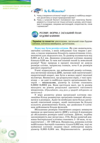 192
КЛІТИННИЙ РІВЕНЬ ОРГАНІЗАЦІЇ
ЖИВОЇ ПРИРОДИ
1. Чому створення клітинної теорії є одним із найбільш видат-
них досягнень в галузі природознавства?
2. Чому у сучасній біології положення про генетичну безпе-
рервність стосується не тільки клітини в цілому, але й окре-
мих її складових, зокрема митохондрій, хлоропластів, генів
і хромосом?
Яким має бути розмір клітини. Як уже зазначалося,
звичайні клітини, з яких побудовані тіла тварин і рос-
лин, а також переважна більшість одноклітинних істот,
непомітні для людського ока. Їх діаметр коливається від
0,001 до 0,1 мм. Довжина усередненої клітини людини
близько 0,03 мм. Із чим пов’язаний такий їх невеликий
розмір? Чому природа в процесі еволюції не довела
розміри клітин, наприклад ссавців, хоча б до розмірів
рисового зернятка?
Учені підрахували, що найменший розмір клітини,
яка міститиме мінімум ДНК, матиме свій синтетичний і
енергетичний апарат, має бути в межах однієї тисячної
міліметра. Виявилося, що розрахунки вірні, є такі орга-
нізми — це одні із найбільш просто організованих бак-
терій — мікоплазми, діаметр їх клітин становить
0,0002–0,0003 мм. Вони настільки малі, що їх розмір
виходить на рівень роздільної здатності світлового
мікроскопа. (Пригадайте, яку роль у природі відіграють ці
організми.)
У міру розвитку рівня організації клітини ево-
люційно більш розвинутих організмів повинні збільшу-
ватися в розмірах. Адже їм необхідно мати більш доско-
налий генетичний апарат, який синтезував би більшу
кількість різноманітних білків, що дозволило б кліти-
нам здійснювати більше функцій.
Збільшення розмірів генетичного апарату неминуче
приведе до зростання вмісту ДНК у клітині й відповідно
до збільшення розмірів самої клітини. Дійсно, подібна
закономірність має місце (мал. 174). Якщо зазвичай дов-
жина бактеріальної клітини становить 1–10 мкм, то еу-
каріотичної — 10–100 мкм. Наприклад, довжина клітин
найбільших бактерій становить тільки 0,002 мм, тоді як
найменші клітини людини (малі лейкоцити) мають
діаметр 0,003–0,004 мм. Нерівнозначність розмірів
РОЗМІР, ФОРМА І ЗАГАЛЬНИЙ ПЛАН
БУДОВИ КЛІТИНИ
§34.
Терміни та поняття: мікоплазми, загальний план будови
клітини, клітинна мембрана, цитоплазма.
 