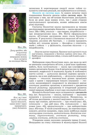 20
ЗАГАЛЬНА ХАРАКТЕРИСТИКА
ЖИВОЇ ПРИРОДИ
Мал. 39а.
Дику орхідею, або
зозулинець
блощичний,
нещодавно можна
було зустріти
на околицях Києва
Мал. 39б.
Білі, як і інші
гриби, є об’єктом
науки мікології,
однак вони і зараз
привертають
увагу ботаніків
засвоєння й перетворення енергії являє собою су-
купність хімічних реакцій, які відбуваються в клітинах.
Біологія як система наук. Із самого початку свого
становлення біологія являла собою систему наук. Це
пов’язано з тим, що об’єктами біологічних досліджень
були як різні види живих істот, так і різні сторони
життєдіяльності організмів, якими займалися зовсім
різні науковці.
Спочатку біологічні науки групувалися за типами
досліджуваних організмів: ботаніка — наука про рослини
(мал. 39а і 39б), зоологія — про тварин, мікробіологія —
про мікроорганізми (мал. 40). Потім сформувалися
науки, об’єктами досліджень яких стали біологічні
процеси. У результаті з’являються модельні об’єкти —
тварини, рослини або бактерії, — з якими працюють
майже всі: плодова мушка — дрозофіла у генетиків,
жаба і собака — у фізіологів, кишкова паличка — у
мікробіологів.
Людство вдячне тваринам. Проявом такої вдячності стали
пам’ятники, споруджені у багатьох країнах світу (мал. 41).
Найбільше їх встановлено собаці, є кілька жабі й навіть один —
дрозофілі.
Найпершою серед біологічних наук, що мала на меті
не вивчення конкретного об’єкта, а розв’язок проблеми,
мабуть, була систематика — наука про класифікацію
живих організмів; будову тіла й органів рослин та тварин
вивчають морфологія й анатомія; будову й особливості
життя клітин — цитологія; функції окремих органів і
процеси, що в них відбуваються, — фізіологія; поведінку
тварин — етологія; взаємозв’язок різних організмів
один з одним і середовищем їхнього існування — еко-
логія; закономірності спадковості та мінливості вивчає
генетика; розвиток організму в онтогенезі є предметом
біології розвитку; зародження й історичний розвиток
живої природи перебуває в полі зору еволюційної біології.
Більшість біологічних наук складаються з дисциплін
(від лат. дисципліна — школа, навчання) — наукових
напрямів з вузькою спеціалізацією. Наприклад, за
об’єктом досліджень у зоології виділяють теріологію —
науку про ссавців, орнітологію — про птахів (мал. 42),
іхтіологію — про риб (мал. 43), ентомологію — про
комах (мал. 44), протистологію — про найпростіших
(мал. 45) тощо. У такій сучасній науці, як генетика нара-
ховують десятки напрямів, серед яких найбільш відомі
молекулярна генетика, цитогенетика, біохімічна гене-
тика, імуногенетика, генетика розвитку, попу-
ляційна генетика, медична генетика.
Утворення нових наукових напрямів триває й нині.
Нещодавно на стику генетики й молекулярної біології
 
