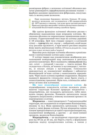 розміщення фібрил у волокнах клітинної оболонки виз-
начає рівномірність зафарбовування рослинних тканин —
фарбник заповнює проміжки між фібрилами, сполучаю-
чись із молекулами целюлози.
Одне волоконце бавовнику містить близько 10 млрд.
молекул целюлози, які складаються з 60 квадрильйонів
(6 · 1025) молекул глюкози, і це дуже мала частина рослини.
Приклад ілюструє масштаби і точність біологічного синтезу —
потужний біологічний конвеєр запобігає браку.
Ще однією функцією клітинної оболонки рослин є
обмеження надходження води всередину клітини. Це-
люлозна оболонка не перешкоджає проникненню води у
клітину. Гідростатичний тиск води на клітину дорівнює
5–10 атмосфер. Цей тиск створює напругу в клітинній
стінці — тургор (від лат. тугор — набрякаю), який надає
тілу рослини пружності, а трав’янисті рослини завдяки
йому мають вертикальне стебло. (Тепер ви розумієте, чому
рослини в разі нестачі води в’януть.)
Важливу роль відіграє клітинна оболонка в розпізна-
ванні і контактуванні клітин одна з одною.
У клітин тварин над плазматичною мембраною роз-
ташований поверхневий шар завтовшки в декілька
десятків нанометрів. Його називають глікокаліксом (від
лат. глікіс — солодкий і каллюм — товста шкіра). Він
складається з білків, зв’язаних із вуглеводами і, частко-
во, зі сполук ліпідів з вуглеводами. Глікокалікс
приєднується до плазматичної мембрани і забезпечує
безпосередній зв’язок клітин з навколишнім середови-
щем. Через нього клітина сприймає подразники. Завдяки
наявності ферментів глікокалікс може брати участь у
позаклітинному травленні. Крім того, глікокалікс забез-
печує зв’язок між клітинами.
Що таке підмембранні комплекси клітин. До
підмембранних комплексів клітин належать різно-
манітні структури білкової природи: мікронитки і
мікротрубочки, які складають цитоскелет, тобто вико-
нують опорну функцію. Елементи цитоскелета також
сприяють закріпленню у певному положенні органел і їх
переміщенню в клітині.
Мікронитки — тонкі (діаметром 4–7 нм) ниткоподібні
структури, які складаються зі скоротливих білків (актину,
міозину та ін.). Вони пронизують цитоплазму і беруть
участь у зміні форми клітини. Пучки мікрониток одним
кінцем прикріплюються до однієї структури (наприклад,
плазматичної мембрани), а другим — до іншої (певної
органели, молекули біополімерів).
Мікротрубочки — це циліндричні структури діамет-
ром від 10 нм до 25 нм, які беруть участь у формуванні
веретена поділу еукаріотичних клітин, а також у
206
КЛІТИННИЙ РІВЕНЬ ОРГАНІЗАЦІЇ
ЖИВОЇ ПРИРОДИ
 
