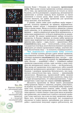 220
КЛІТИННИЙ РІВЕНЬ ОРГАНІЗАЦІЇ
ЖИВОЇ ПРИРОДИ (інколи буває і більше), що складають хромосомний
набір. При цьому кожна хромосома клітини унікальна.
Річ у тому, що хромосоми різняться не тільки за своєю
будовою, але й за розмірами і, наприклад, метацентрічні
хромосоми в клітині можуть бути відмінні за своєю
довжиною в кілька разів. При цьому немає жодних
підстав вважати, що дрібні хромосоми для організму
менш важливі, ніж величезні.
У різних, навіть зовні дуже подібних видів тварин і
рослин, кількість хромосом, як правило, відрізняється.
Причому певної логіки і очевидного функціонального
сенсу в цьому немає. Якщо ж кількість хромосом у різних
видів однакова, то їх хромосоми можуть відрізнятися за
формою — замість рівноплечої може бути нерівноплеча, а
якщо вони нерівноплечі, то будуть відрізнятися за довжи-
ною плечей. Ці ознаки хромосомного набору (кількість
хромосом, їх будова і форма), за якими набір хромосом
одного виду відрізняється від іншого, називають каріоти-
пом (від грец. каріон — ядро, типос — зразок) (мал. 204).
Соматичні (від грец. сома — тіло) клітини, з яких, власне,
і складається тіло будь якого багатоклітинного організму,
зберігають усі ознаки хромосомного набору, властиві пев-
ному біологічному виду — їх кількість і індивідуальність.
Чим відрізняється хромосомний набір статевих
клітин. Статеві клітини містять удвічі менше хромосом,
ніж соматичні клітини. Такий набір хромосом у статевих
клітинах називають гаплоїдним (від грец. гаплоос — оди-
нарний і еідос — вигляд), на відміну від диплоїдного (від
грец. діплоос — подвійний і еідос) — подвійного набору
хромасом соматичних клітин, одна частина з яких похо-
дить від материнської гамети, а інша — від батьківської.
При цьому всі хромосоми чітко паруються, тобто кожній
хромосомі материнського організму є чітко відповідна за
будовою і розміром хромосома батьківського, яка нази-
вається гомологічною (від грец. гомолос — відповідний)
хромосомою. Наприклад, хромосомний набір людини
складається з 23 пар гомологічних хромосом, серед яких
є 4 пари метацентричних, 11 субметацентричних, 7 акро-
центричних і одна пара так званих статевих хромосом.
Більшість організмів на Землі мають диплоїдний
набір хромосом. Однак є і винятки, зокрема, самці бджіл,
на відміну від самок, мають гаплоїдний набір хромосом,
крім того, зустрічаються комахи, риби, ссавці, самці
яких мають на одну хромосому менше, ніж самки. При-
чина проста: у таких самців є одна дуже мала за розміра-
ми хромосома, яка зливається з однією з великих хромо-
сом і тому здається, що в них на одну хромосому менше.
Крім того, зустрічаються популяції, які складаються
виключно із самок (досить звичайними для наших во-
дойм є одностатеві популяції карася сріблястого), які
Мал. 204.
Каріотип людини:
а — диплоїдний набір
хромосом;
б — жіночий
гаплоїдний набір
хромосом;
в — чоловічий
гаплоїдний набір
хромосом
а)
б)
в)
 