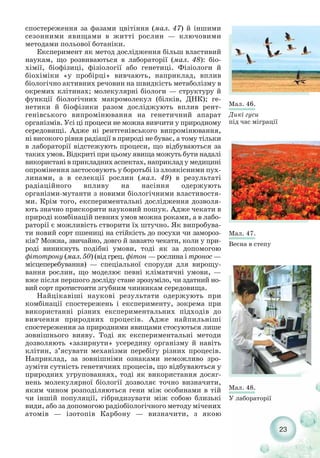 23
Мал. 46.
Дикі гуси
під час міграції
Мал. 47.
Весна в степу
Мал. 48.
У лабораторії
спостереження за фазами цвітіння (мал. 47) й іншими
сезонними явищами в житті рослин — ключовими
методами польової ботаніки.
Експеримент як метод дослідження більш властивий
наукам, що розвиваються в лабораторії (мал. 48): біо-
хімії, біофізиці, фізіології або генетиці. Фізіологи й
біохіміки «у пробірці» вивчають, наприклад, вплив
біологічно активних речовин на швидкість метаболізму в
окремих клітинах; молекулярні біологи — структуру й
функції біологічних макромолекул (білків, ДНК); ге-
нетики й біофізики разом досліджують вплив рент-
генівського випромінювання на генетичний апарат
організмів. Усі ці процеси не можна вивчити у природному
середовищі. Адже ні рентгенівського випромінювання,
ні високого рівня радіації в природі не буває, а тому тільки
в лабораторії відстежують процеси, що відбуваються за
таких умов. Відкриті при цьому явища можуть бути надалі
використані в прикладних аспектах, наприклад у медицині
опромінення застосовують у боротьбі із злоякісними пух-
линами, а в селекції рослин (мал. 49) в результаті
радіаційного впливу на насіння одержують
організми мутанти з новими біологічними властивостя-
ми. Крім того, експериментальні дослідження дозволя-
ють значно прискорити науковий пошук. Адже чекати в
природі комбінацій певних умов можна роками, а в лабо-
раторії є можливість створити їх штучно. Як випробува-
ти новий сорт пшениці на стійкість до посухи чи замороз-
ків? Можна, звичайно, довго й завзято чекати, коли у при-
роді виникнуть подібні умови, тоді як за допомогою
фітотрону (мал. 50) (від грец. фітон — рослина і тронос —
місцеперебування) — спеціальної споруди для вирощу-
вання рослин, що моделює певні кліматичні умови, —
вже після першого досліду стане зрозуміло, чи здатний но-
вий сорт протистояти згубним чинникам середовища.
Найцікавіші наукові результати одержують при
комбінації спостережень і експерименту, зокрема при
використанні різних експериментальних підходів до
вивчення природних процесів. Адже найпильніші
спостереження за природними явищами стосуються лише
зовнішнього вияву. Тоді як експериментальні методи
дозволяють «зазирнути» усередину організму й навіть
клітин, з’ясувати механізми перебігу різних процесів.
Наприклад, за зовнішніми ознаками неможливо зро-
зуміти сутність генетичних процесів, що відбуваються у
природних угрупованнях, тоді як використання досяг-
нень молекулярної біології дозволяє точно визначити,
яким чином розподіляються гени між особинами в тій
чи іншій популяції, гібридизувати між собою близькі
види, або за допомогою радіобіологічного методу мічених
атомів — ізотопів Карбону — визначити, з якою
 