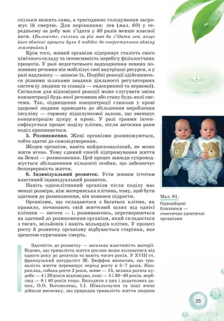 скільки важить сама, а тригодинне голодування загро-
жує їй смертю. Для порівняння: лев (мал. 60) у се-
редньому за добу має з’їдати у 40 разів менше власної
ваги. (Визначте, скільки за рік мав би з’їдати лев, якщо
його обмінні процеси були б подібні до енергетичного обміну
землерийки.)
Крім того, живий організм підтримує сталість свого
хімічного складу та інтенсивність перебігу фізіологічних
процесів. У разі недостатнього надходження певних по-
живних речовин він мобілізує свої внутрішні ресурси, а у
разі надлишку — запасає їх. Подібні реакції здійснюють-
ся різними шляхами завдяки діяльності регуляторних
систем (у людини та ссавців — ендокринної та нервової).
Сигналом для відповідної реакції може слугувати зміна
концентрації будь якої речовини або стану будь якої сис-
теми. Так, підвищення концентрації глюкози у крові
здорової людини приводить до збільшення вироблення
інсуліну — гормону підшлункової залози, що зменшує
концентрацію цукру в крові. У разі травми інтен-
сифікується процес поділу клітин, після загоєння рани
поділ припиняється.
5. Розмноження. Живі організми розмножуються,
тобто здатні до самовідтворення.
Жоден організм, навіть найдосконаліший, не може
жити вічно. Тому єдиний спосіб підтримування життя
на Землі — розмноження. Цей процес завжди супровод-
жується збільшенням кількості особин, що забезпечує
безперервність життя.
6. Індивідуальний розвиток. Усім живим істотам
властивий індивідуальний розвиток.
Навіть одноклітинний організм після поділу має
менші розміри, ніж материнська клітина, тому, щоб бути
здатним до розмноження, він повинен підрости.
Організми, що складаються з багатьох клітин, як
правило, починають свій життєвий шлях від однієї
клітини — зиготи — і, розвиваючись, перетворюються
на здатний до розмноження організм, який складається
з тисяч, мільйонів і навіть мільярдів клітин. У процесі
росту й розвитку організму відбувається старіння, яке
зрештою спричинює смерть.
Здатність до розвитку — загальна властивість матерії.
Відомо, що тривалість життя рослин може коливатися від
одного року до десятків та навіть тисяч років. У XVIII ст.
французький натураліст Ж. Бюффон визначив, що три-
валість життя перевищує період росту в 5–7 разів. Нап-
риклад, собака росте 2 роки, живе — 15, велика рогата ху-
доба — 4 і 20 років відповідно, коні — 5 і 30–40 років, верб-
люд — 8 і 40 років тощо. Виходячи з цих і додаткових да-
них, О.О. Богомолець, І.І. Шмальгаузен та інші вчені
дійшли висновку, що природна тривалість життя людини
35
Мал. 61.
Однояйцеві
близнюки —
генетично ідентичні
організми
 