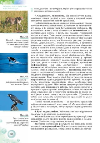 може досягати 120–150 років. Однак цей коефіцієнт не може
вважатися універсальним.
7. Спадковість, мінливість. Від живої істоти народ-
жуються тільки подібні істоти, проте у природі немає
абсолютно однакових живих організмів.
Найважливішою рисою живого є передавання у спадок
наступним поколінням ознак, властивих не лише певно-
му виду, а й конкретним батьківським особинам. Ця
властивість живих істот називається спадковістю, а її
матеріальним носієм є ДНК, що складає генетичний
апарат клітини. Генетично ідентичними організмами є
однояйцеві близнюки (мал. 61). У ранньому віці їх ледве
розрізняє навіть мати, але близнюки ростуть, розвива-
ються, дорослішають, згодом старішають, і протягом
усього життя дедалі більше відрізняються одне від одного.
Адже в кожного з них власна доля і власна історія сто-
сунків з навколишнім світом, що позначається на
зовнішності. От і виходить, що навіть близнюки, які ма-
ють ті самі спадкові риси, зовні відрізняються. Влас-
тивість організмів набувати нових ознак у процесі
індивідуального розвитку називається фенотиповою
(від грец. фено — являю і типос — форма, зразок) мо-
дифікаційною (від лат. модифікаціо — зміна)
мінливістю. (Спробуйте пояснити зміст цього нового по-
няття.) Існує й інша мінливість — генотипова (від грец.
генос — походження), в основі якої лежить процес зміни
спадкової інформації — генів, що визначають розвиток
певних ознак. Тому навіть рідні брати та сестри завжди
відрізняються одне від одного вагою, зростом, кольором
очей, волоссям, пропорціями тіла, особливостями
внутрішньої будови. Мінливість створює різноманітний
матеріал для природного добору, суть якого полягає у
кращому пристосуванні конкретних особин до змінних
умов існування, що у свою чергу приводить до появи но-
вих форм життя, нових видів організмів. (Пригадайте
відомі вам приклади пристосування організмів до різно-
манітних умов існування.)
Таким чином, мінливість — це здатність організмів
набувати нових ознак і властивостей або внаслідок змін
у біологічних матрицях, або у процесі індивідуального
розвитку.
8. Рух і подразливість. Усі організми здатні рухатися
і реагувати на зовнішні подразники.
Усі живі істоти здатні до переміщення у просторі, хоча
швидкість цього процесу різних видів живого є неодна-
ковою. (Згадайте, як рухаються рослини.)
Здатність організмів реагувати на зовнішні зміни
називають подразливістю. Вона проявляється не лише
зовнішніми реакціями, серед яких найбільш звичай-
36
ЗАГАЛЬНА ХАРАКТЕРИСТИКА
ЖИВОЇ ПРИРОДИ
Мал. 62.
Гепард — представник
родини котячих, який
за деякими ознаками
нагадує собаку
Мал. 63.
Косатка —
найкрупніший хижак,
що живе на Землі
Мал. 64.
Сокіл сапсан —
рідкісний вид,
занесений до Червоної
книги України
 