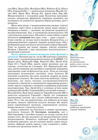 ган (Мn), Цинк (Zn), Молібден (Мо), Кобальт (Со), Нікол
(Ni), Стронцій (Sr) — і неметалічні елементи: Йод (І), Се-
лен (Sе), Бром (Вr), Флуор (F), Арсен (Аs), Бор (В).
Мікроелементи є складовою ряду біологічно важливих
сполук, наприклад, ферментів, гормонів, вітамінів, що
впливають на швидкість процесів обміну речовин, ріст і
розвиток.
Межа між мікро і макроелементами умовна: хімічні
елементи, вміст яких в організмі одних видів тварин є
мізерним, в інших — значним, що дозволяє називати їх
макроелементами. Так, у головоногих молюсків (мал. 83)
і десятиногих раків (мал. 84) замість гемоглобіну в крові
міститься гемоціанін (від грец. гема — кров і цианос —
темно синій), до складу якого входить Купрум (Cu), а в
найпримітивнішої хордової тварини асцидії (мал. 85) у
безбарвній крові міститься металічний елемент Ванадій.
Тому на відміну від інших тварин, хімічні елементи
Купрум і Ванадій у цих організмах накопичуються у
величезній кількості.
Чи всі хімічні елементи виконують певну функцію в
організмі. Питання про те, чи всі 80 хімічних елементів,
серед яких і ультрамікроелементи (менш як 0,000001 %):
Аурум (Аu), Меркурій (Нg), Берилій (Ве), Цезій (Сs),
Уран (U) і Pадій (Ra), мають певне значення для ор-
ганізму, остаточно не з’ясоване. В.І. Вернадський вва-
жав, що всі елементи, які постійно є в організмі, відіграють
притаманну саме їм фізіологічну роль. Хоча на сьогодні
достовірно встановлено значення лише близько 30
хімічних елементів, без яких організм людини не може
нормально існувати. Всі вони життєво необхідні. Однак
можливо, що якась частина ультрамікроелементів
потрапляє в організм із зовнішнього середовища разом з
їжею і просто «замінює» елементи з подібними хімічними
властивостями. Так, Цезій (Сs) у клітинах м’язів може
заміщати Калій (K), Стронцій (Sr) в кістковій тканині —
Кальцій (Са). Внаслідок аварії на Чорнобильській АЕС в
довкілля потрапили Стронцій і Цезій, які утворюють
радіоактивні ізотопи, що є досить небезпечним для лю-
дини. Річ у тім, що радіоізотопи, які увійшли до складу
речовин, можуть протягом кількох місяців або навіть
років опромінювати організм, спричиняючи пошкод-
ження молекул і структур клітин.
Серед елементів, що містяться в живих організмах,
налічують близько 20 біогенних елементів, які є
обов’язковими і постійно входять до складу клітин всіх
живих істот. До них належать усі макроелементи і деякі
мікроелементи. Наявність особливої групи біогенних
елементів доводить, що всі клітини мають єдине поход-
ження. Дефіцит навіть одного з цих елементів є небез-
печним для організму (табл. 2).
67
Мал. 84.
Креветка теж
належить
до десятиногих
раків, хоча і не має
грізних клешень
Мал. 85.
Асцидії —
колоніальні і
найбільш примітивні
хордові тварини
 