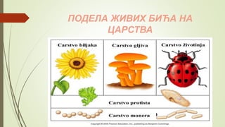 ПОДЕЛА ЖИВИХ БИЋА НА
ЦАРСТВА
 